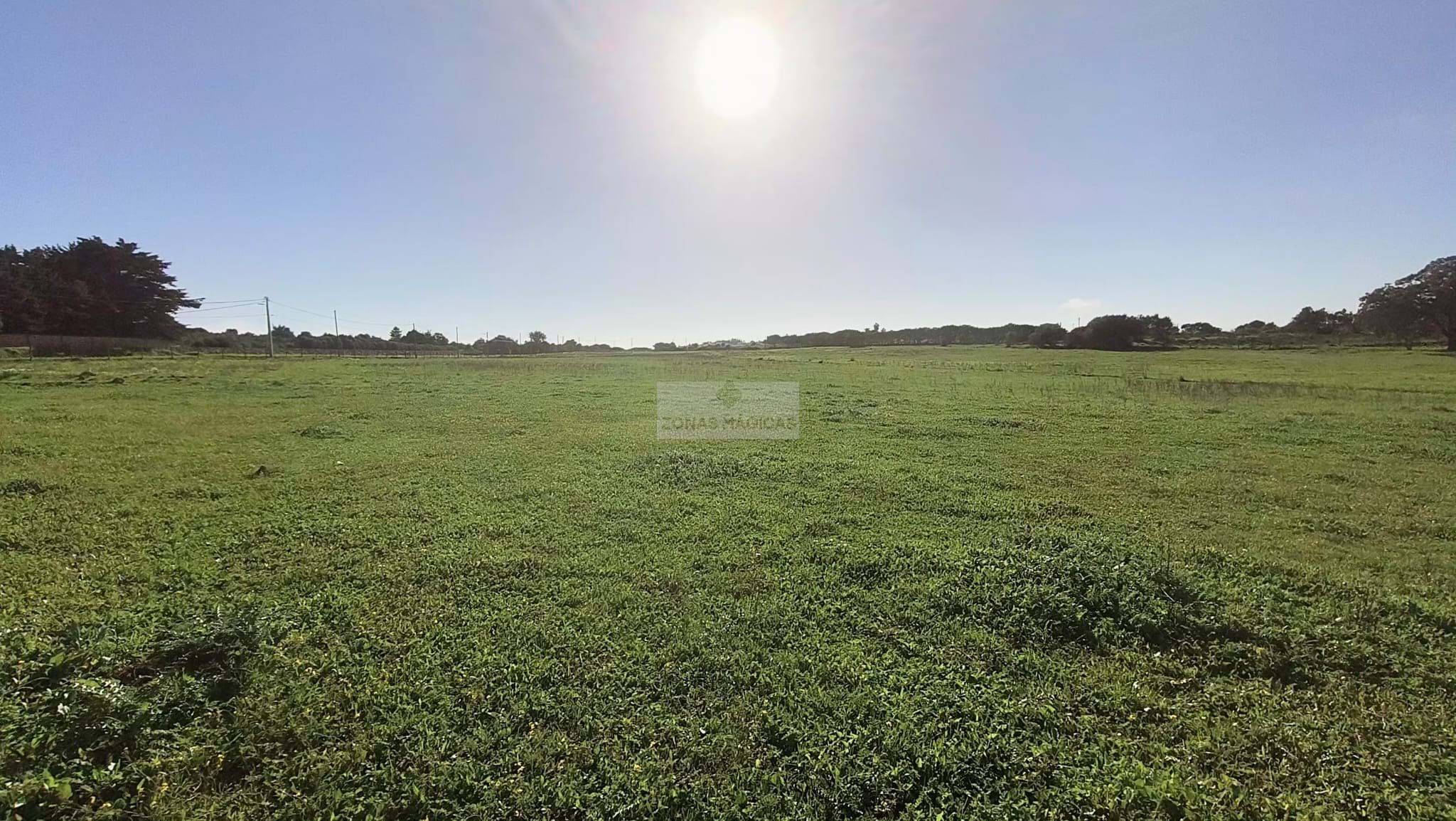 Land, For Sale