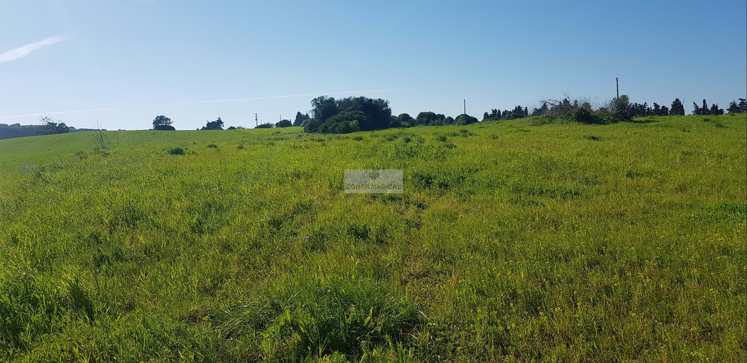 Land, For Sale