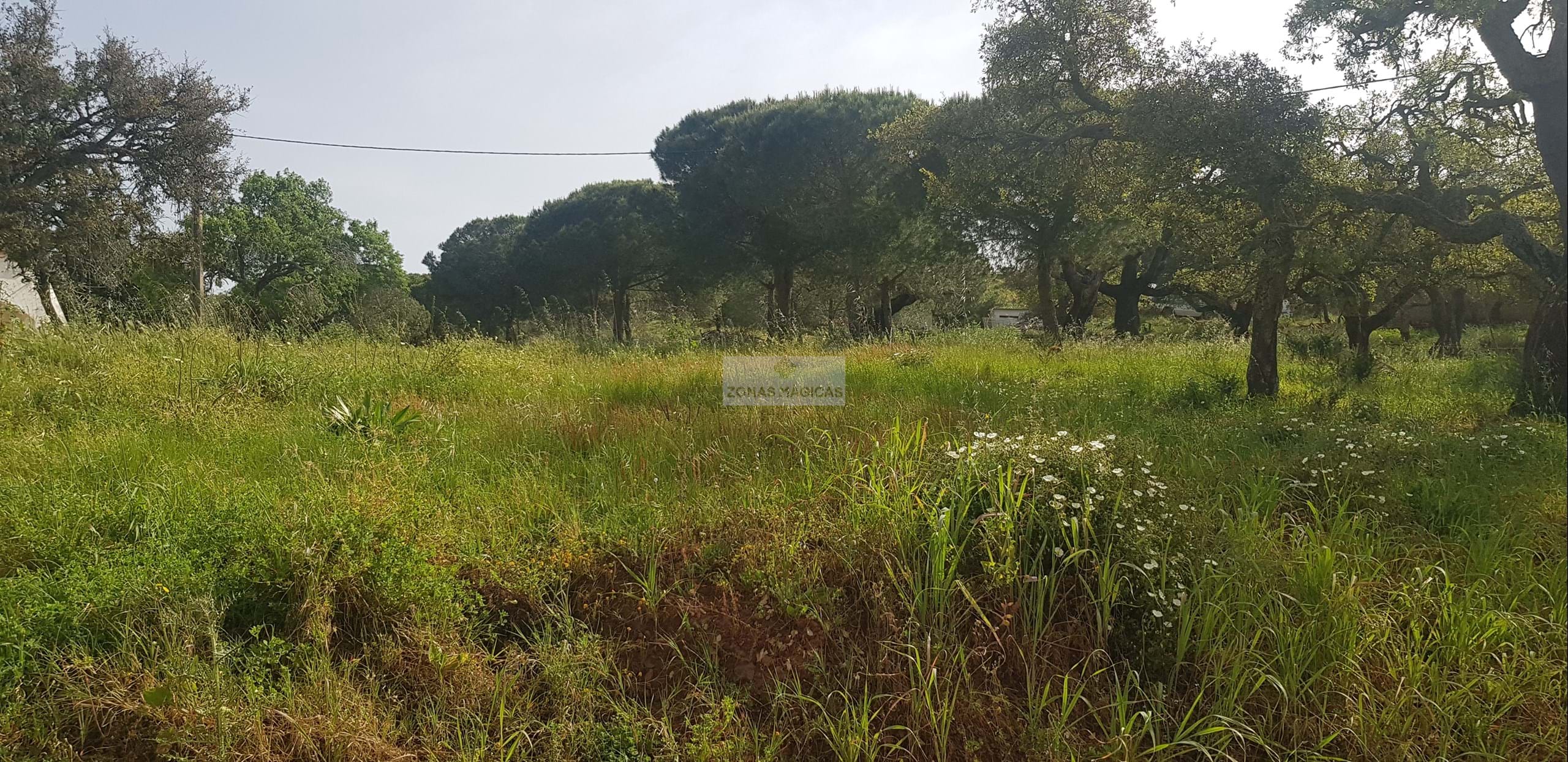 Land, For Sale