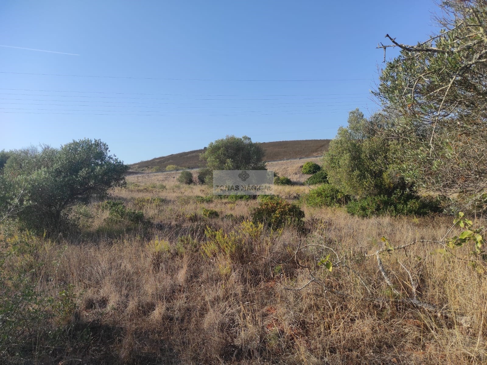 Land, For Sale