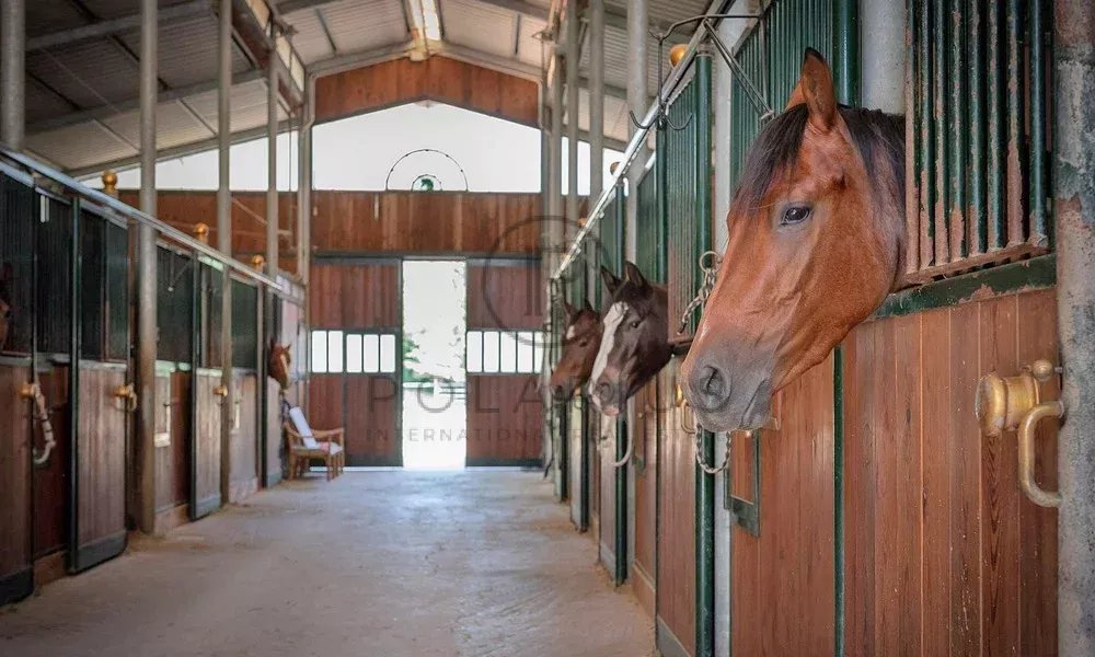 11 Bed, 9 Bath, HouseFor Sale, Pesaro, Pesaro-Urbino