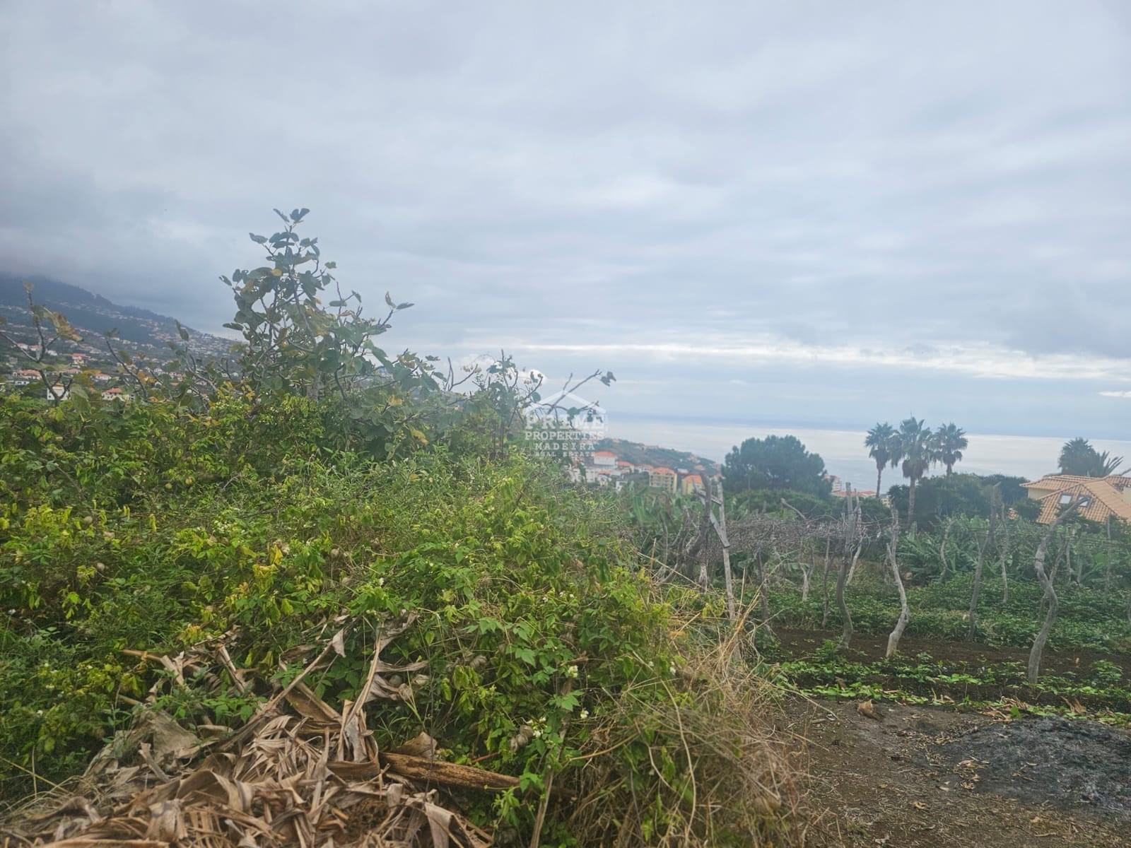 2 Bed, 1 Bath, HouseFor Sale, Calheta, Ilha da Madeira, 9370-281