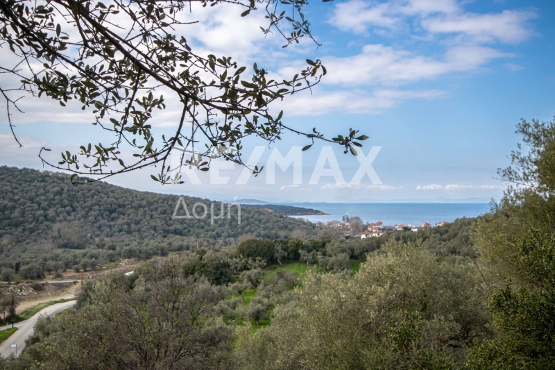 HouseFor Sale, Milina, Sipiada, Magnesia