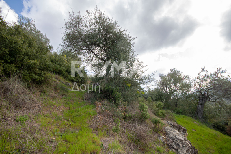 HouseFor Sale, Milina, Sipiada, Magnesia