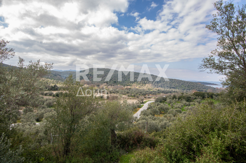 HouseFor Sale, Milina, Sipiada, Magnesia