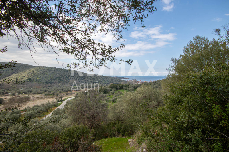 HouseFor Sale, Milina, Sipiada, Magnesia