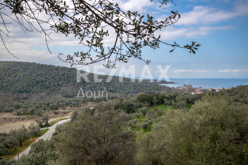 HouseFor Sale, Milina, Sipiada, Magnesia