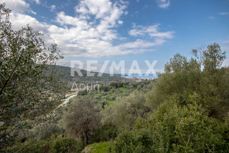 HouseFor Sale, Milina, Sipiada, Magnesia