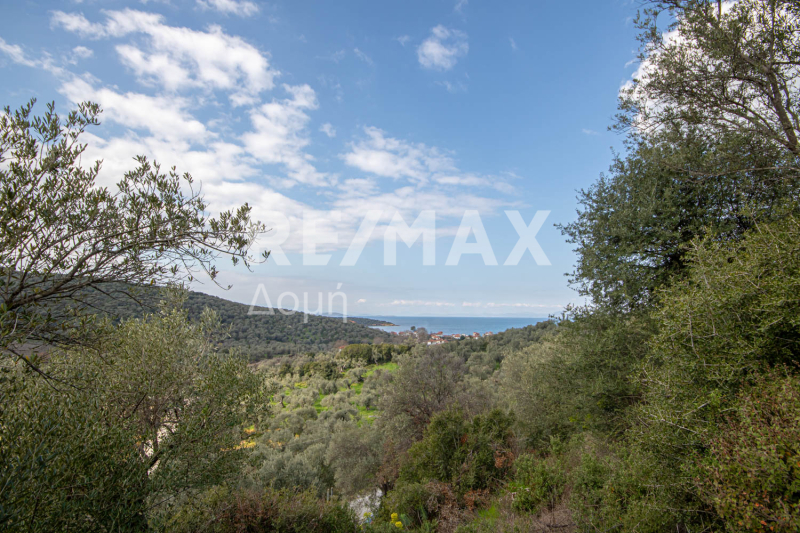 HouseFor Sale, Milina, Sipiada, Magnesia