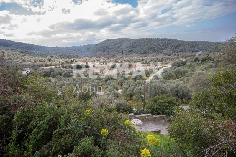 HouseFor Sale, Milina, Sipiada, Magnesia