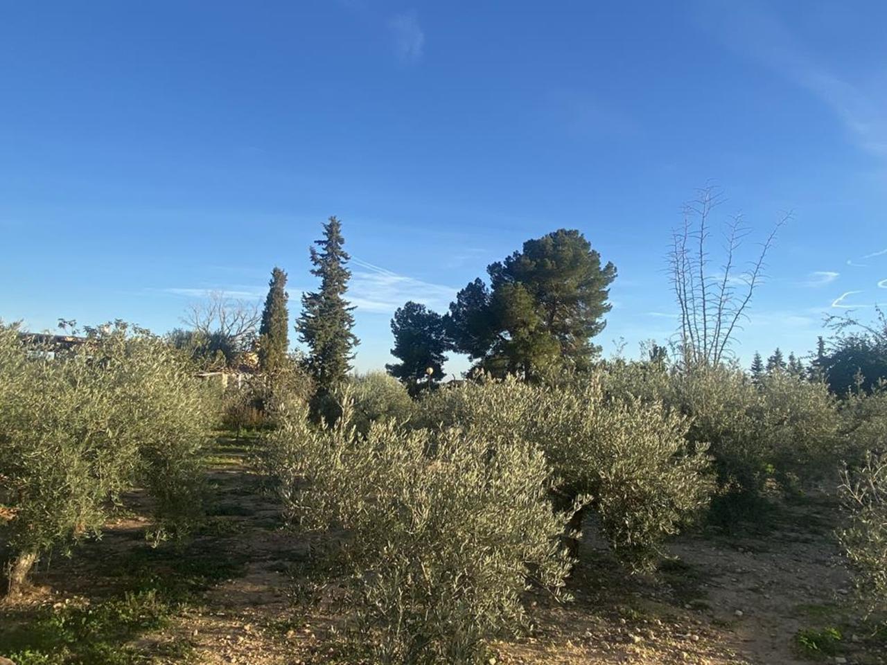 4 Bed, 2 Bath, HouseFor Sale, Gea Y Truyols, Murcia