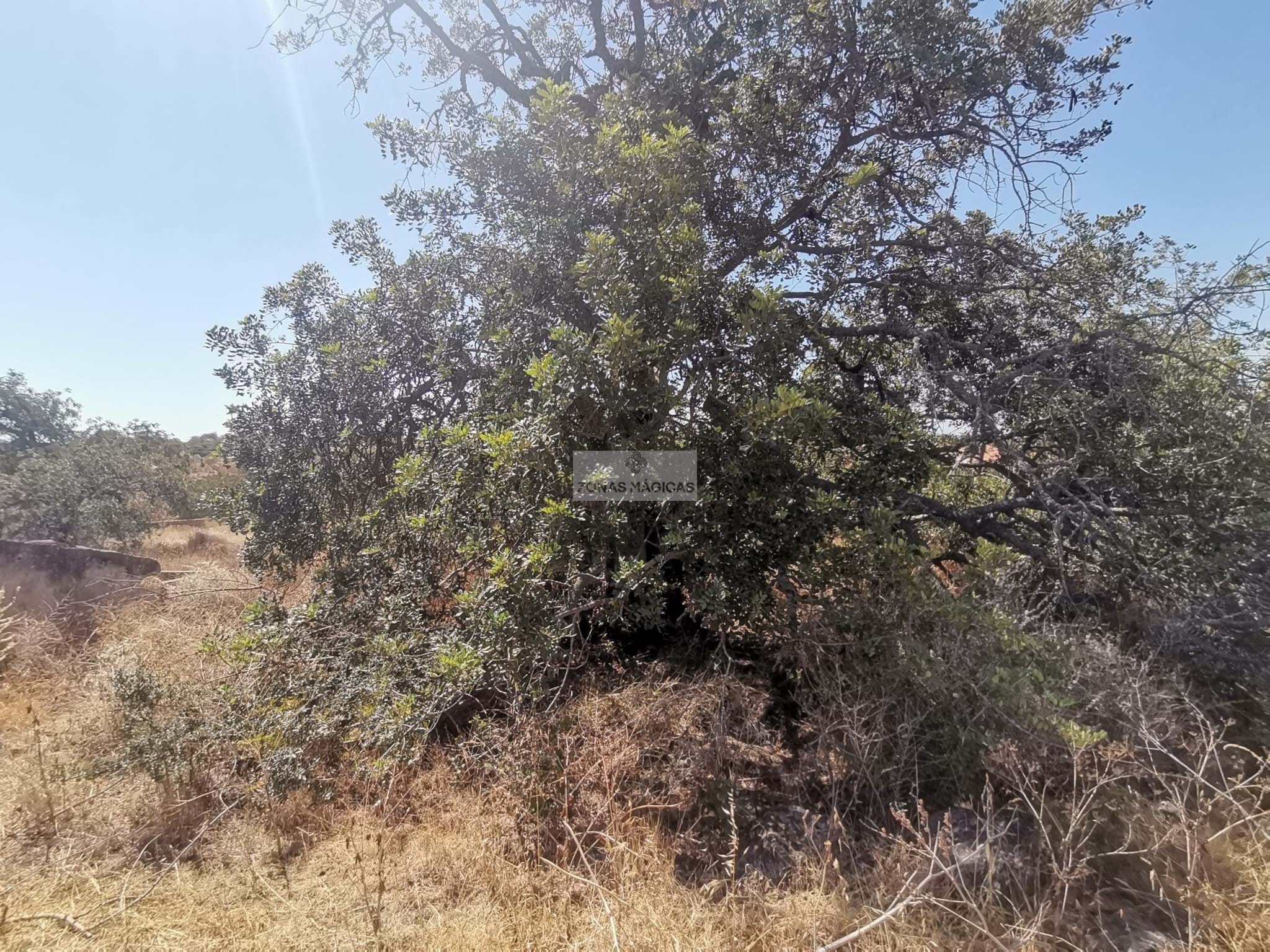 Land, For Sale