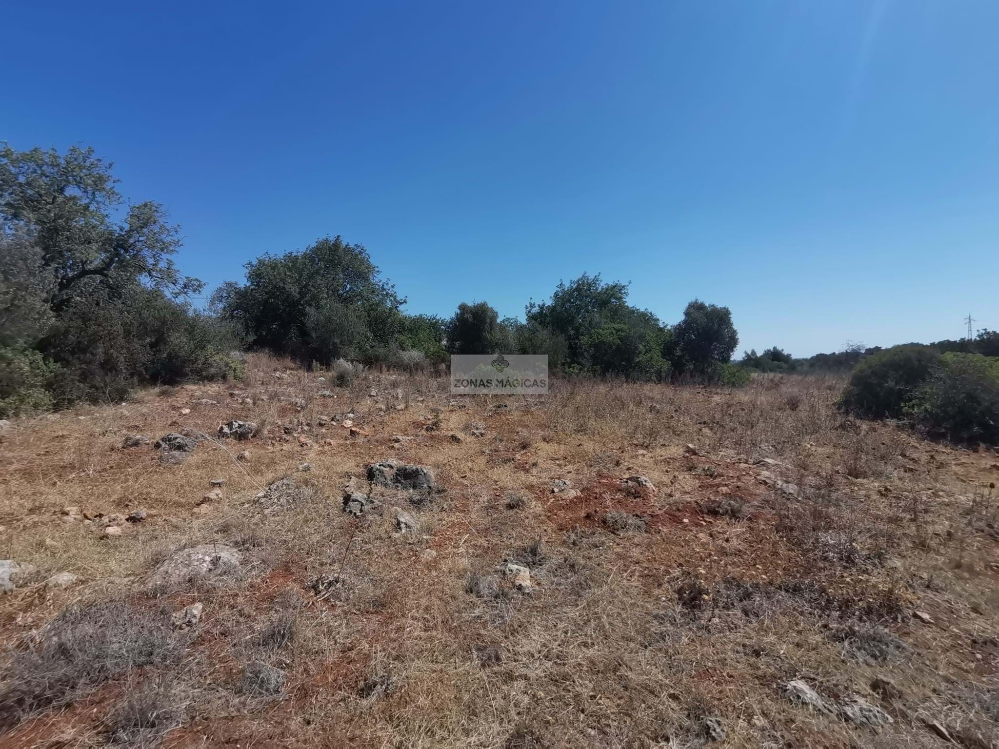 Land, For Sale