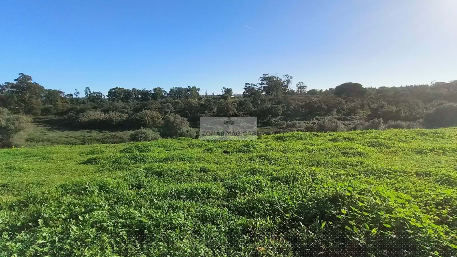 Land, For Sale