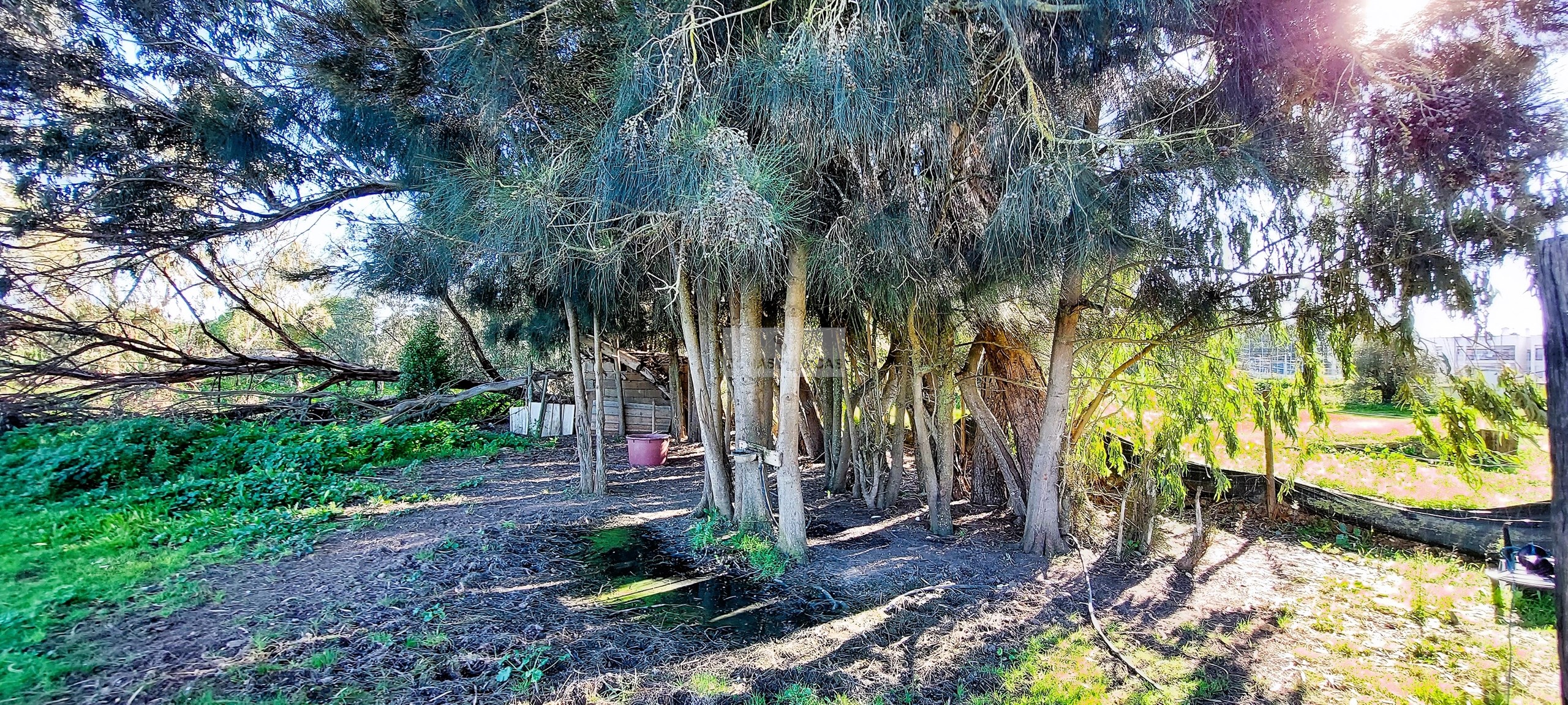 4 Bed, 3 Bath, HouseFor Sale, Lagos, Faro, 8600-250