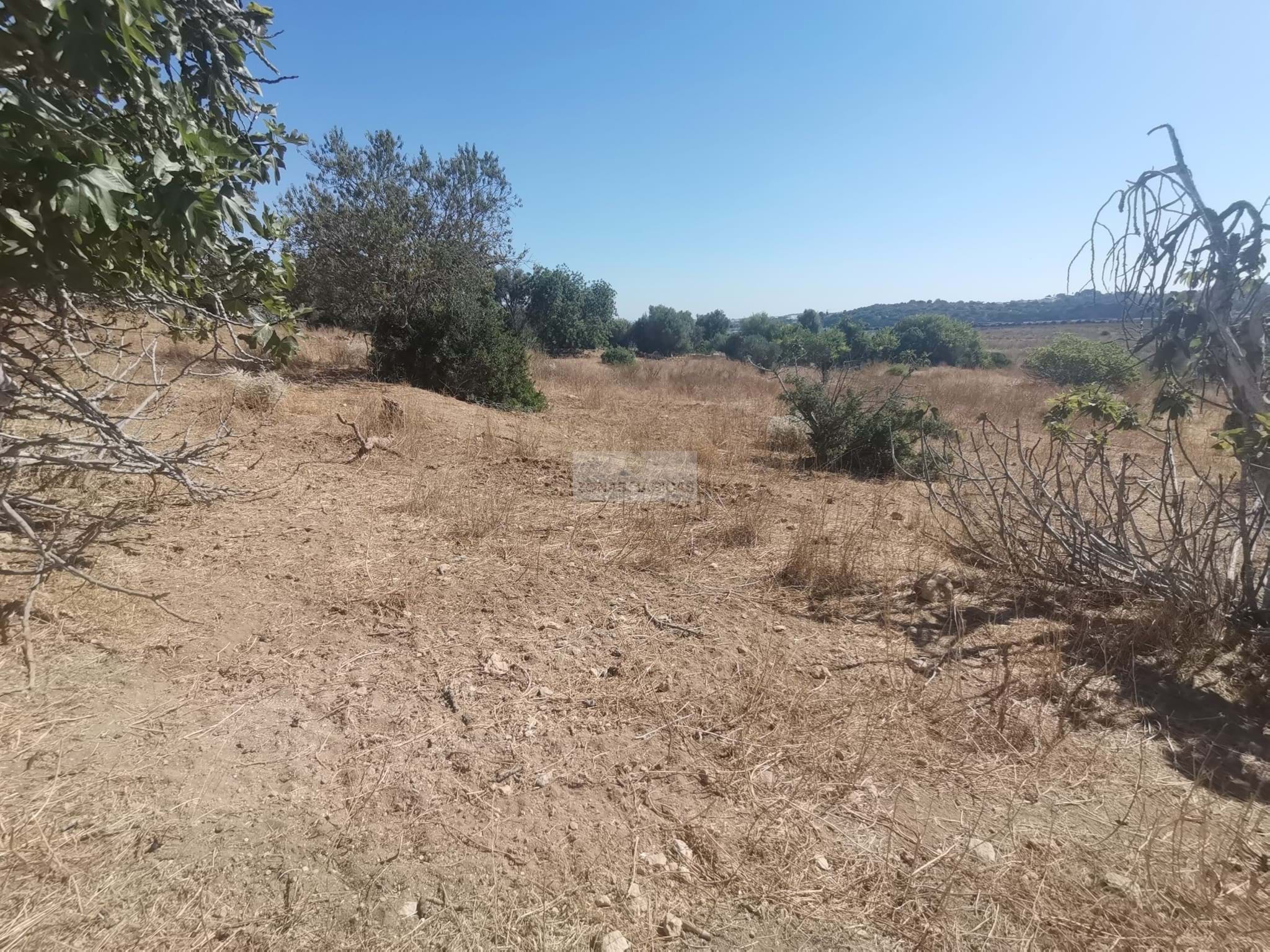 Land, For Sale