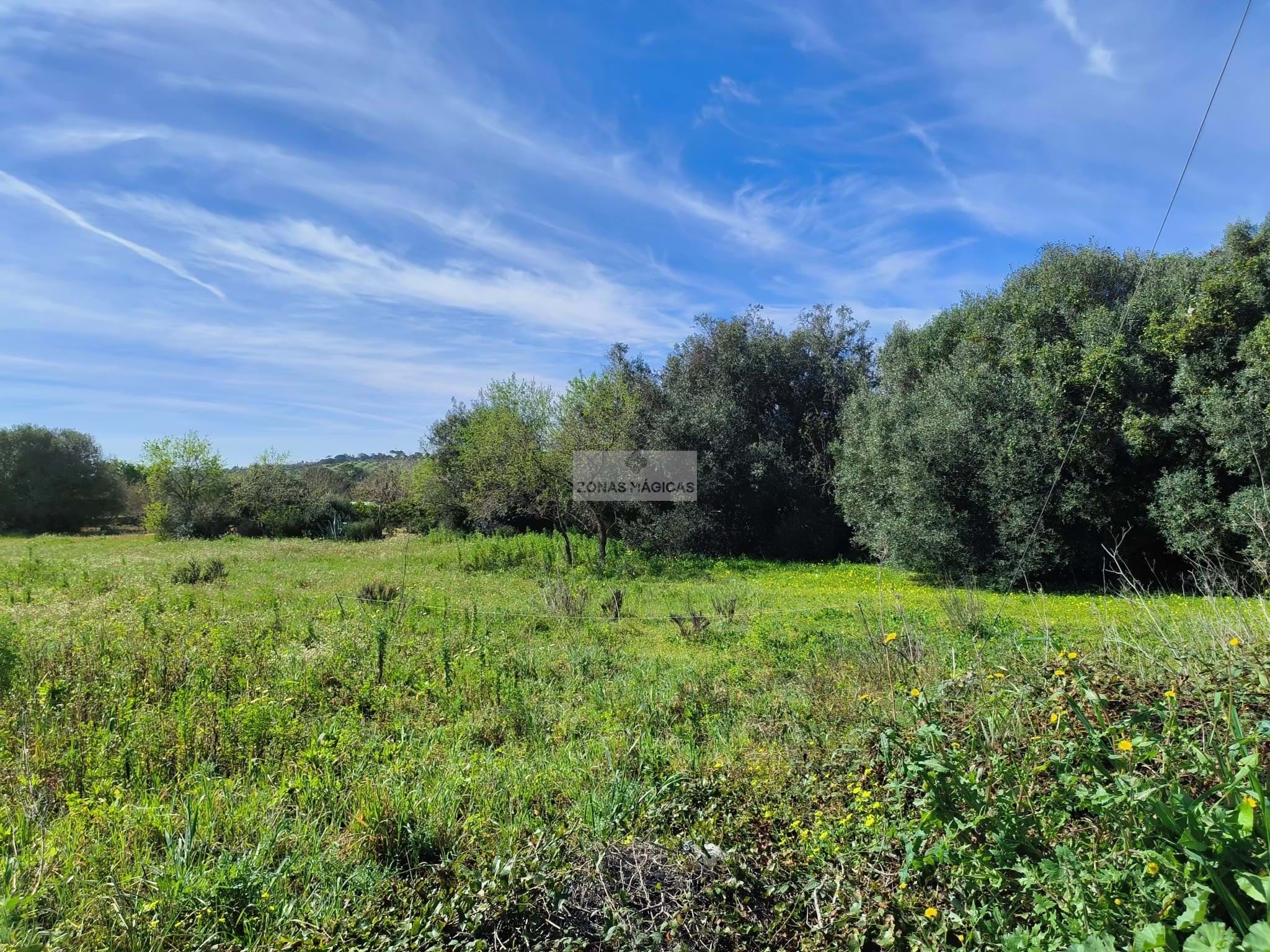 Land, For Sale Land, For Sale