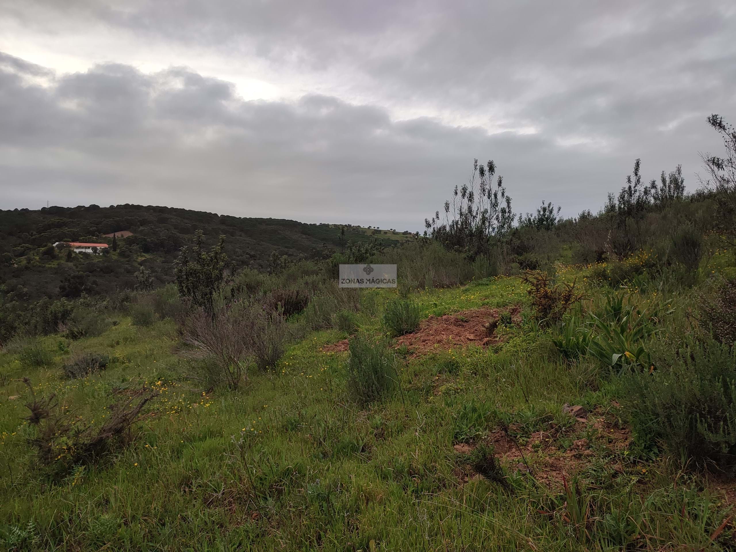 3 Bed, 1 Bath, HouseFor Sale, Lagos, Faro, 8600-090