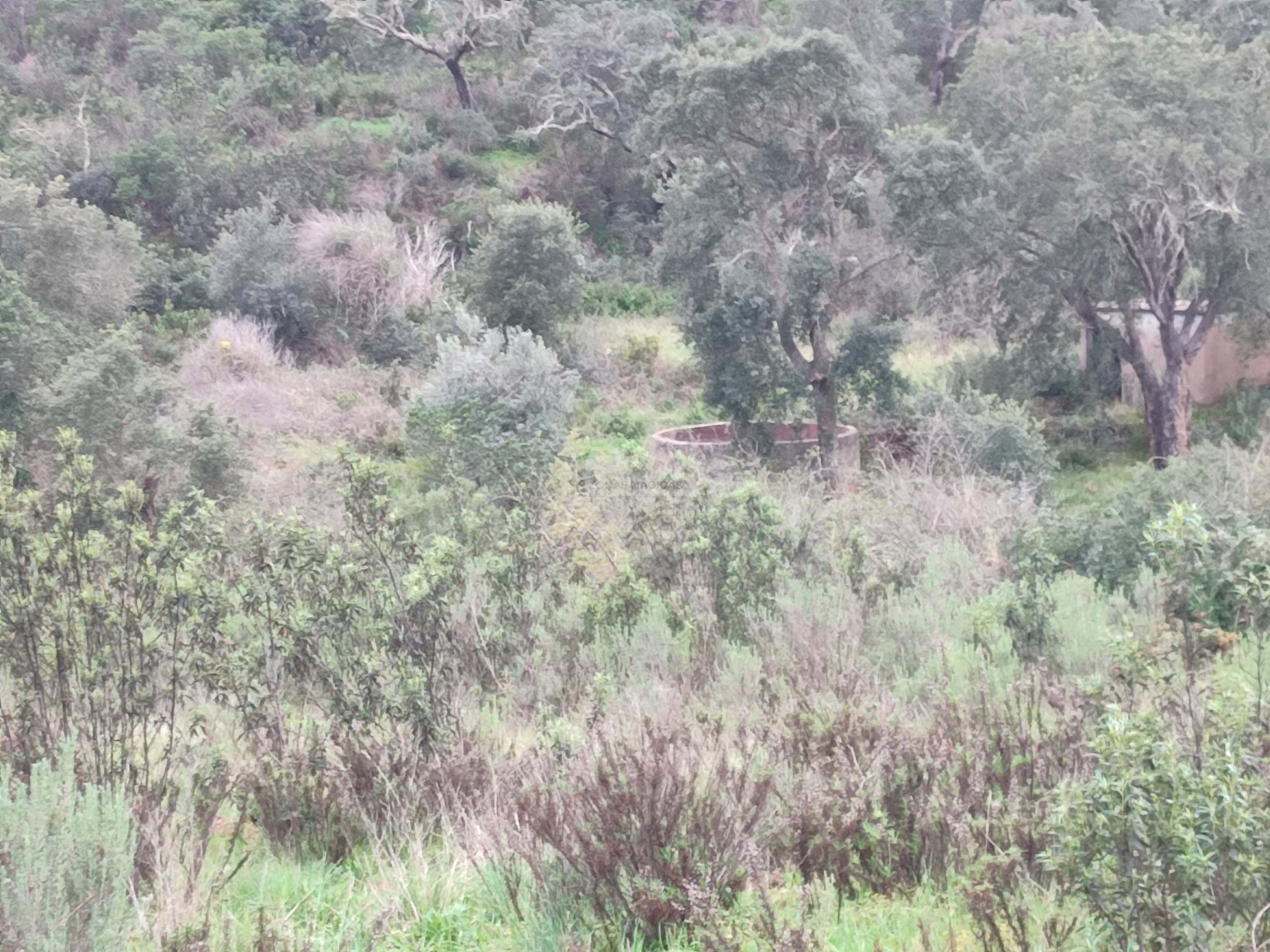 3 Bed, 1 Bath, HouseFor Sale, Lagos, Faro, 8600-090