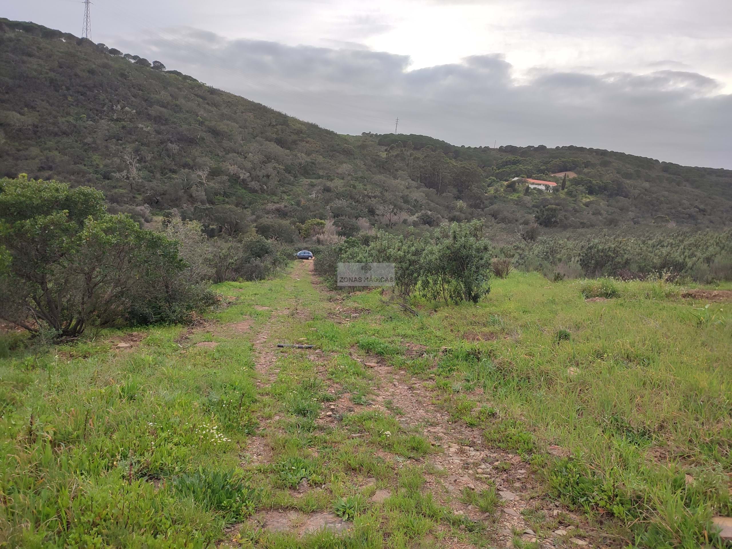 3 Bed, 1 Bath, HouseFor Sale, Lagos, Faro, 8600-090