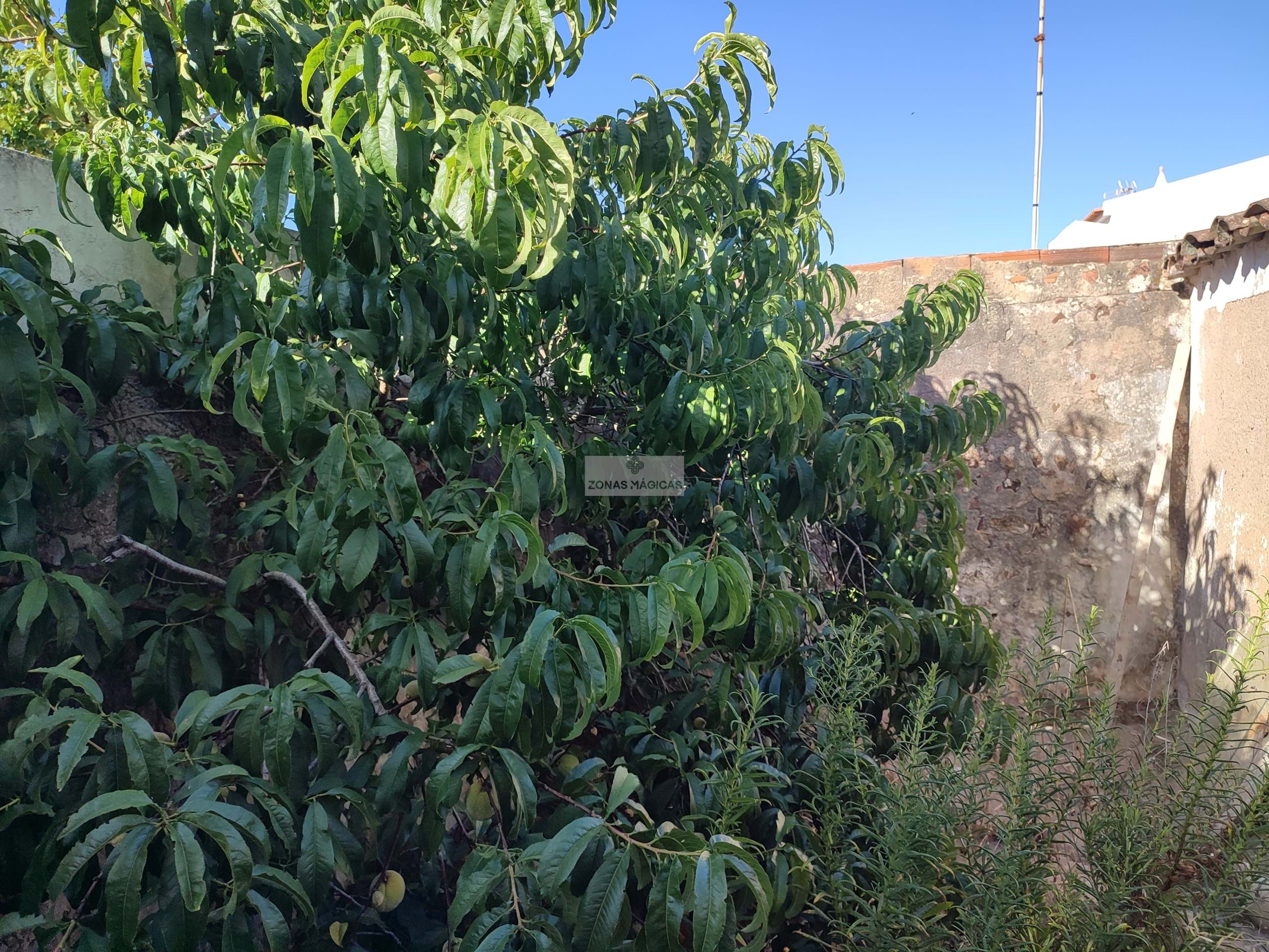 1 Bath, HouseFor Sale, Vila do Bispo, Faro, 8650-078