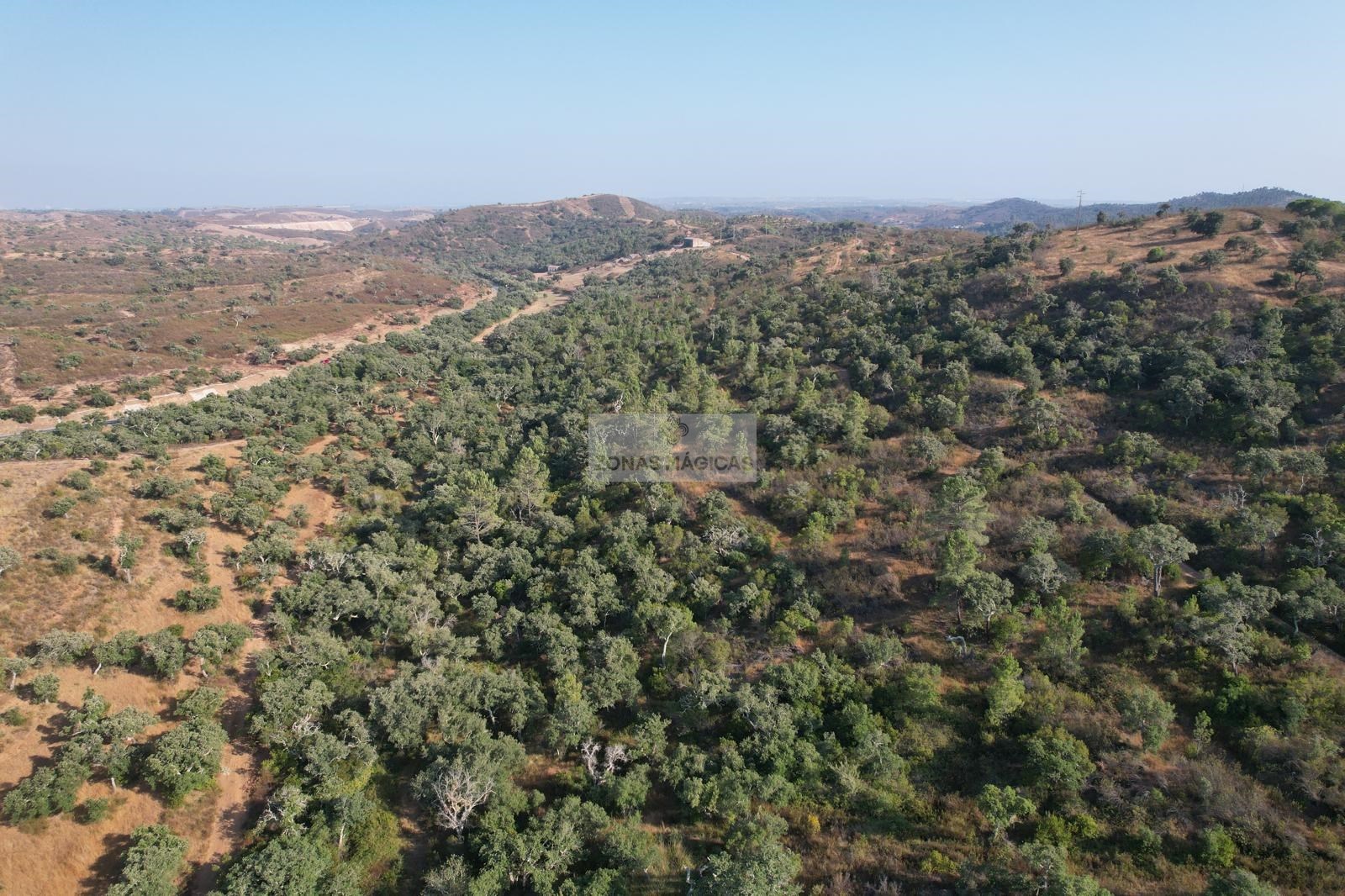 Land, For Sale