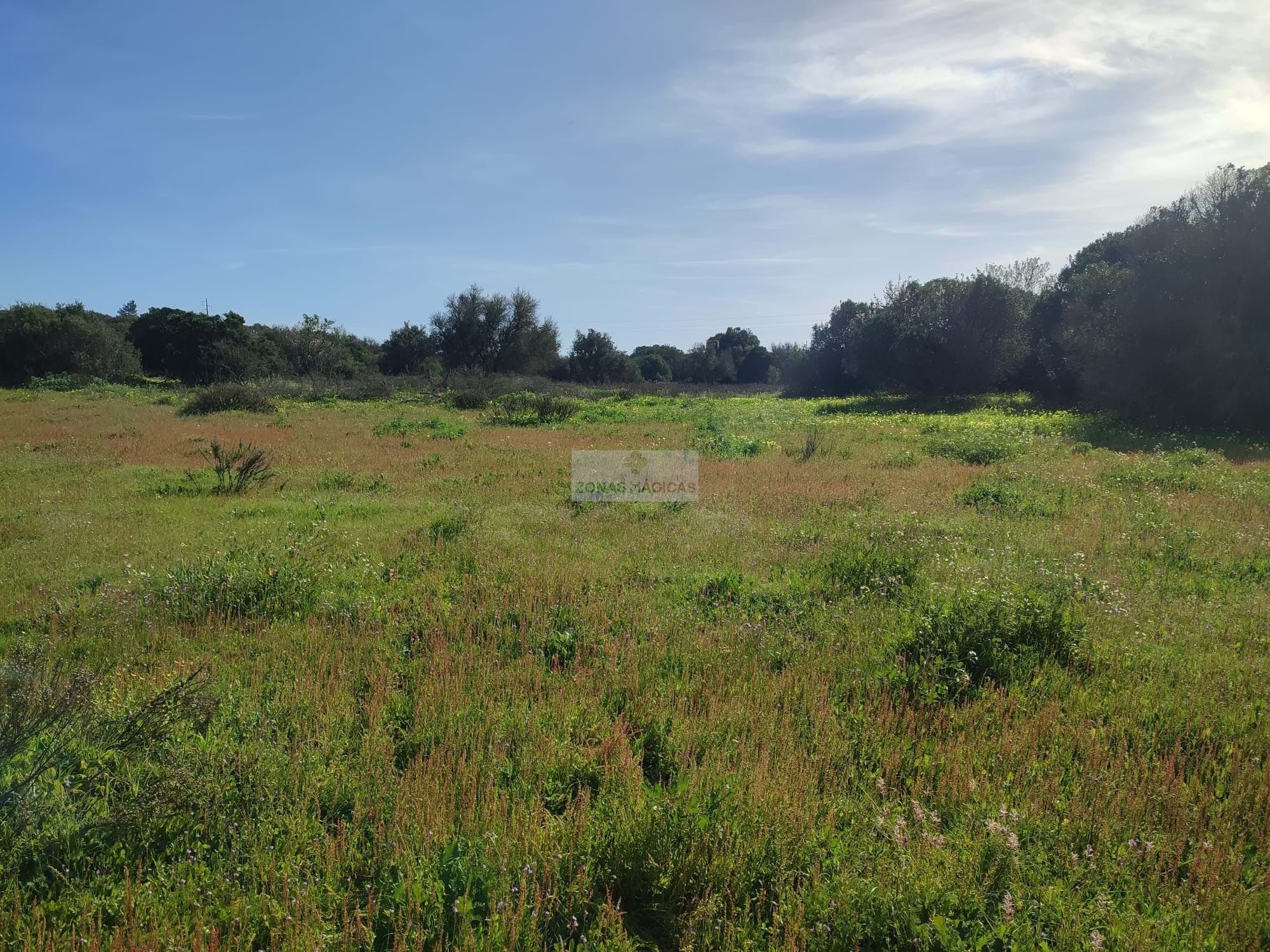 Land, For Sale