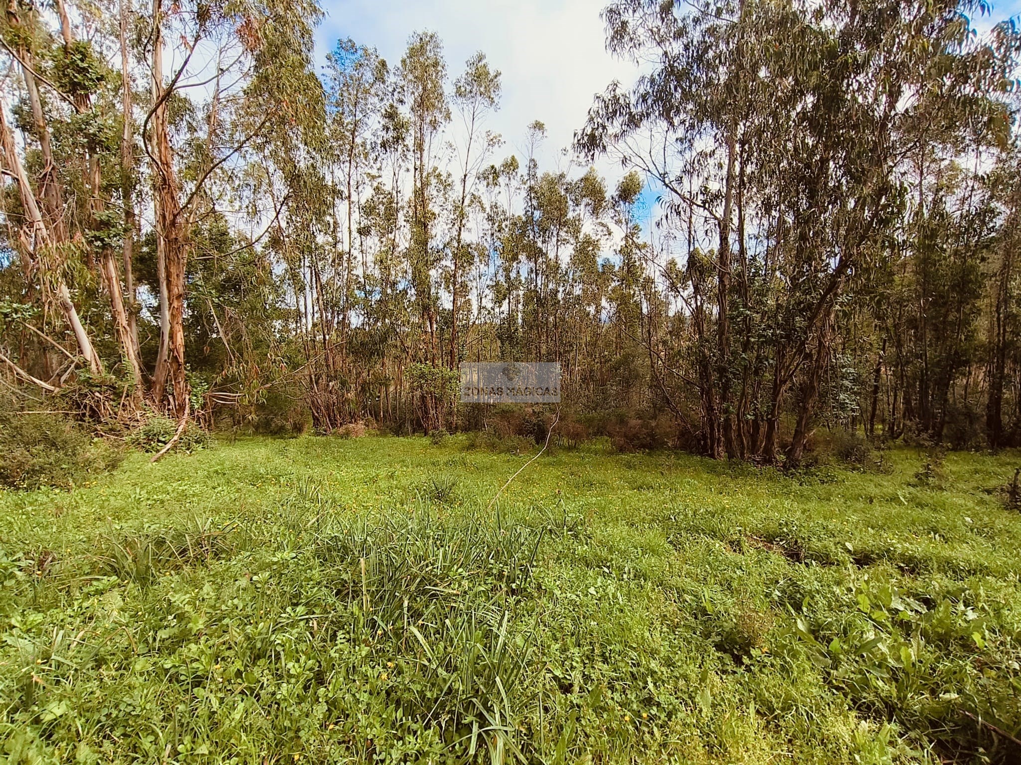 Land, For Sale