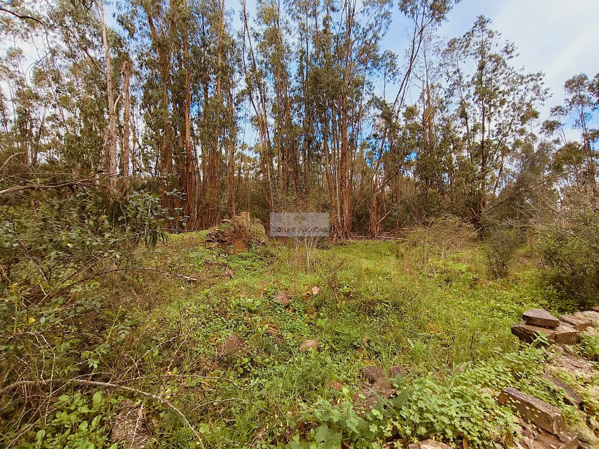 Land, For Sale