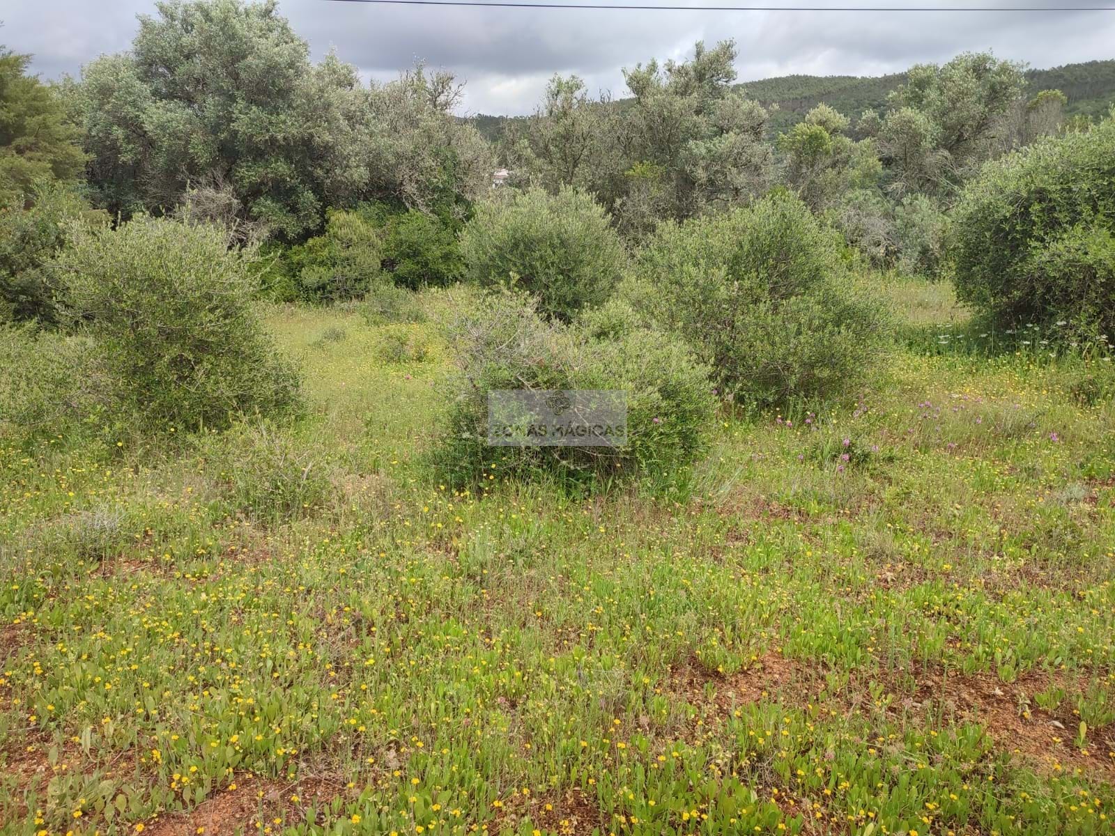 Land, For Sale