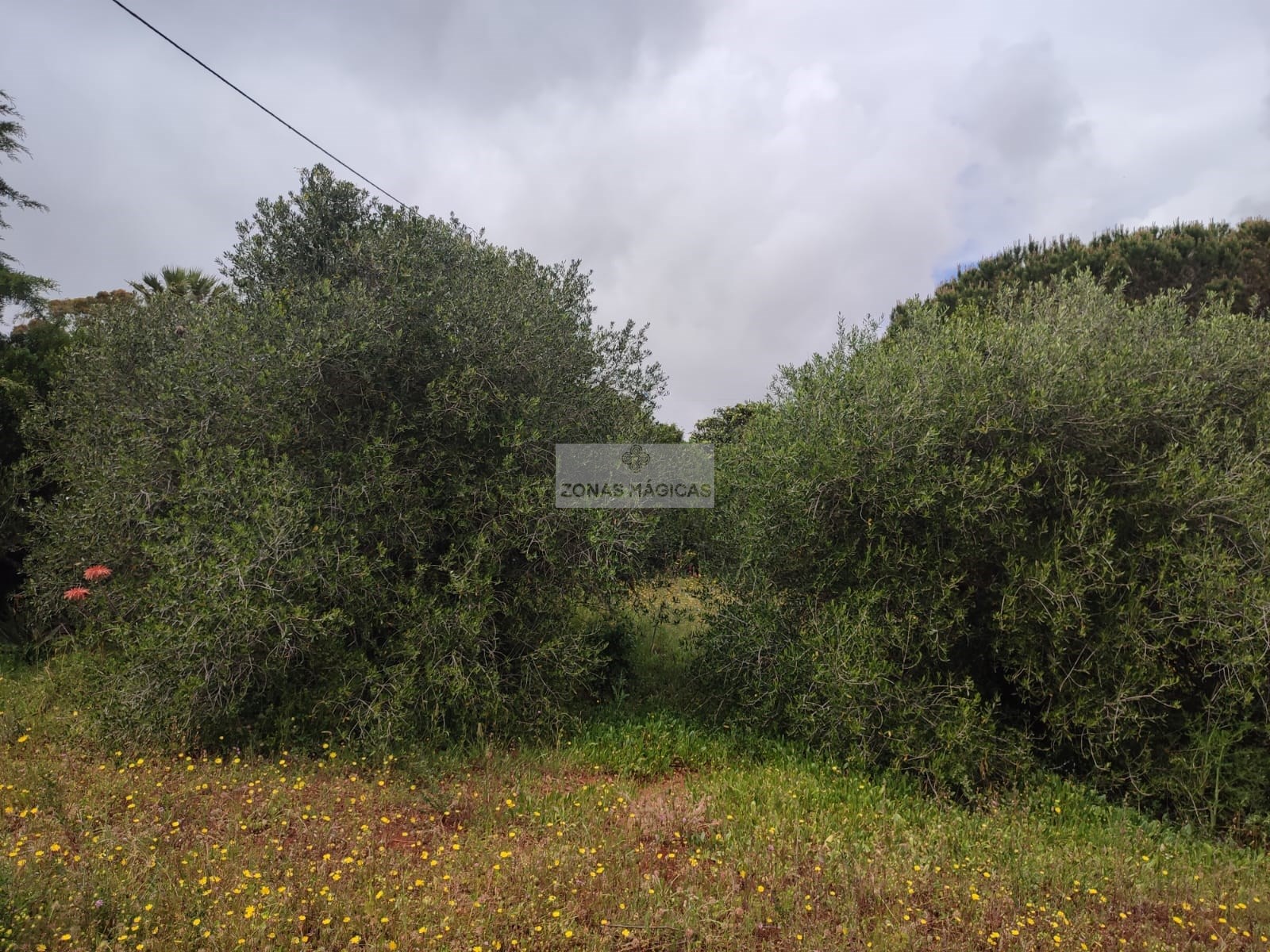 Land, For Sale