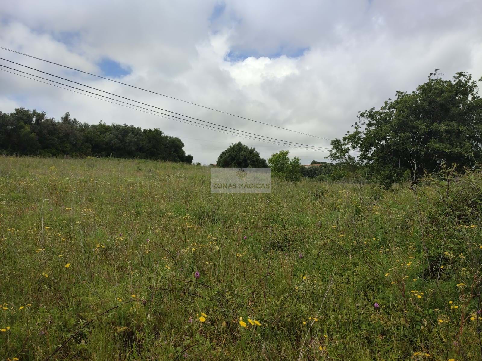 Land, For Sale