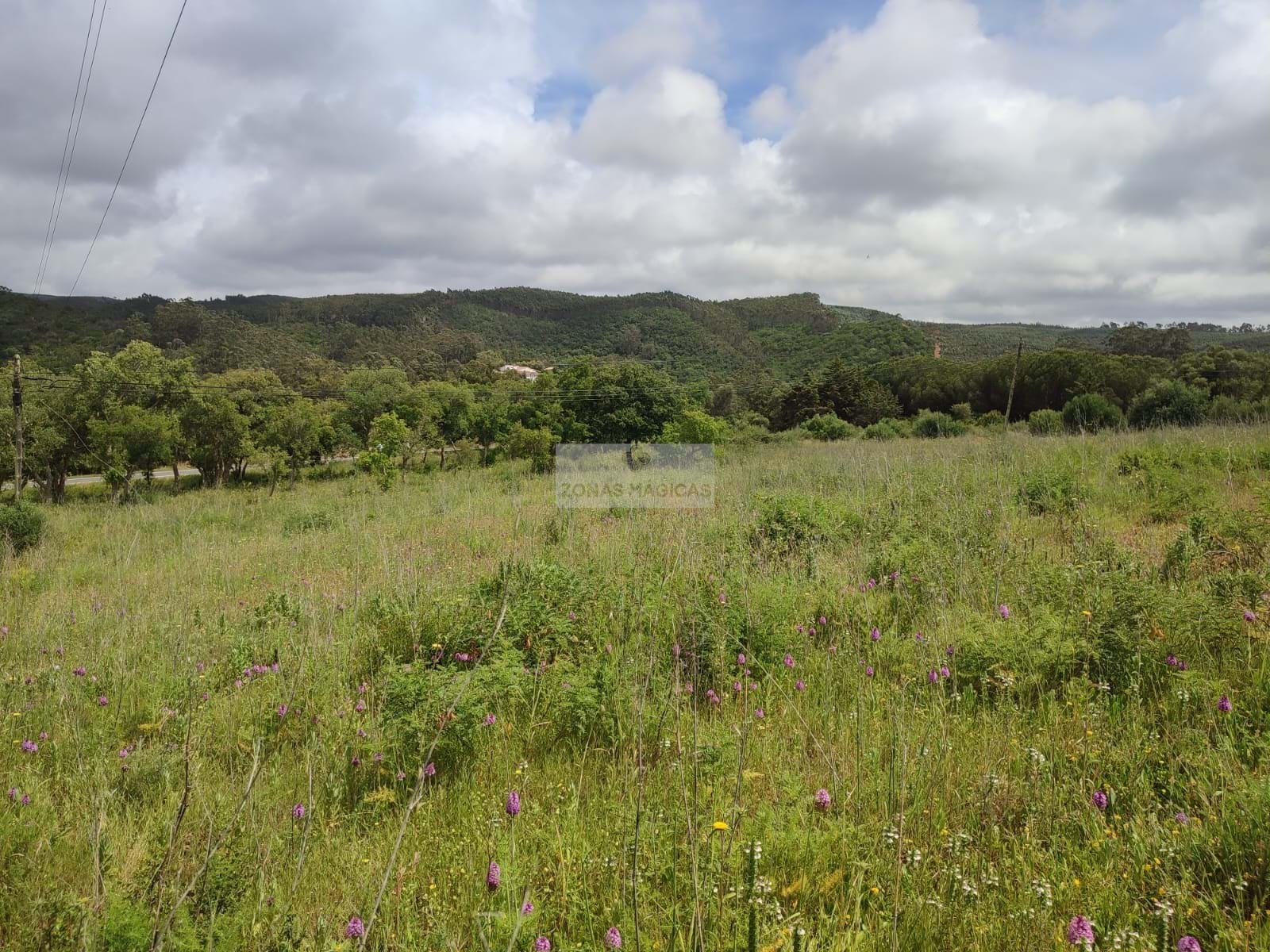 Land, For Sale