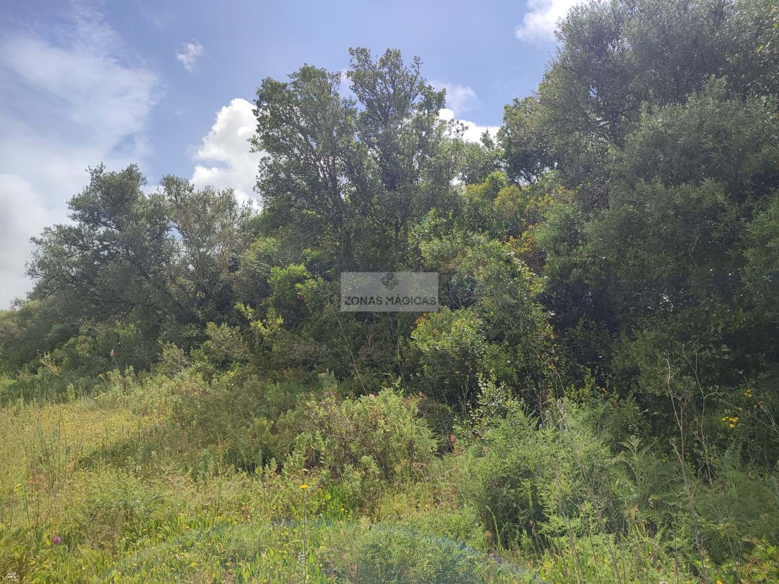 Land, For Sale