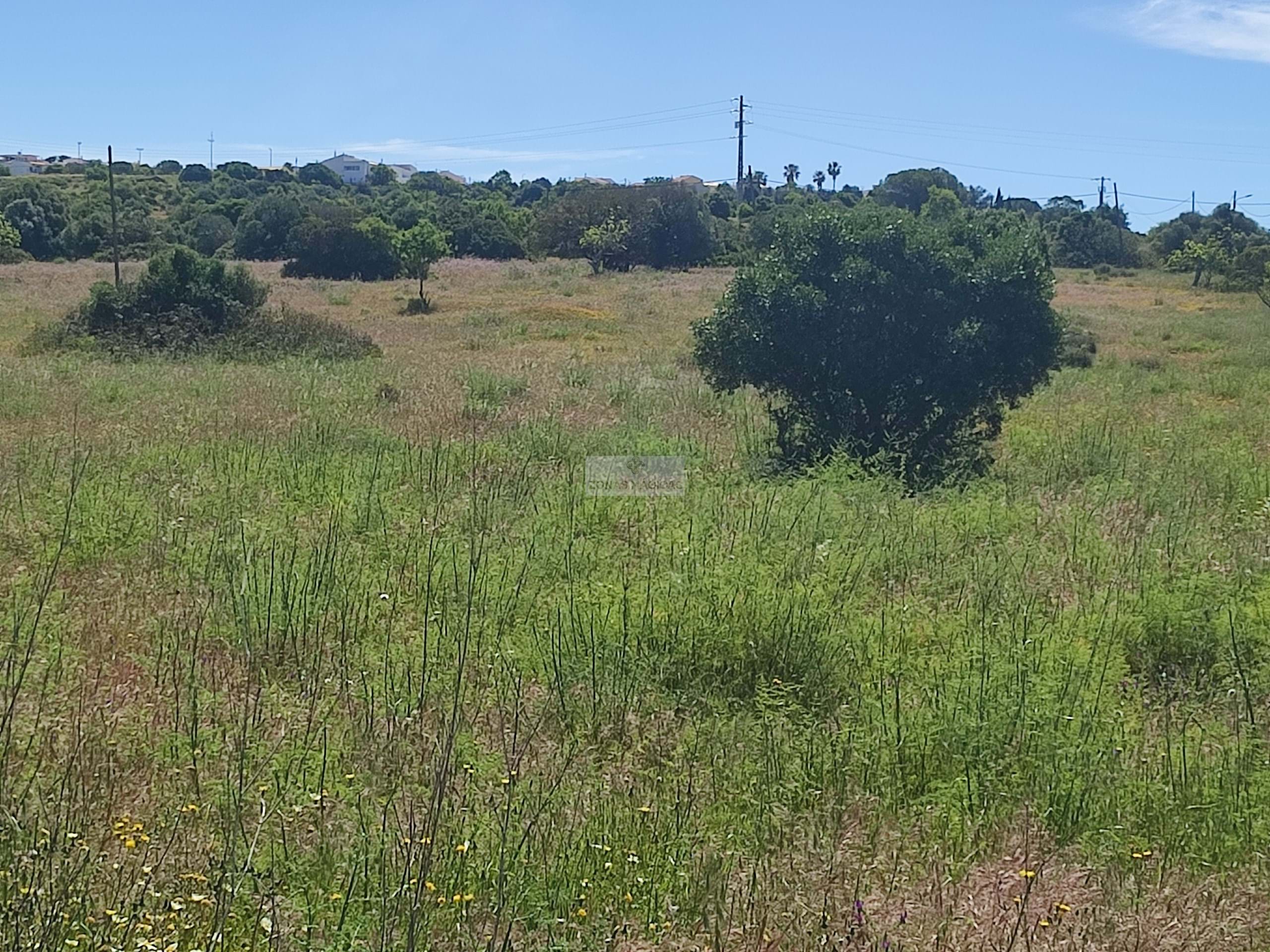 Land, For Sale