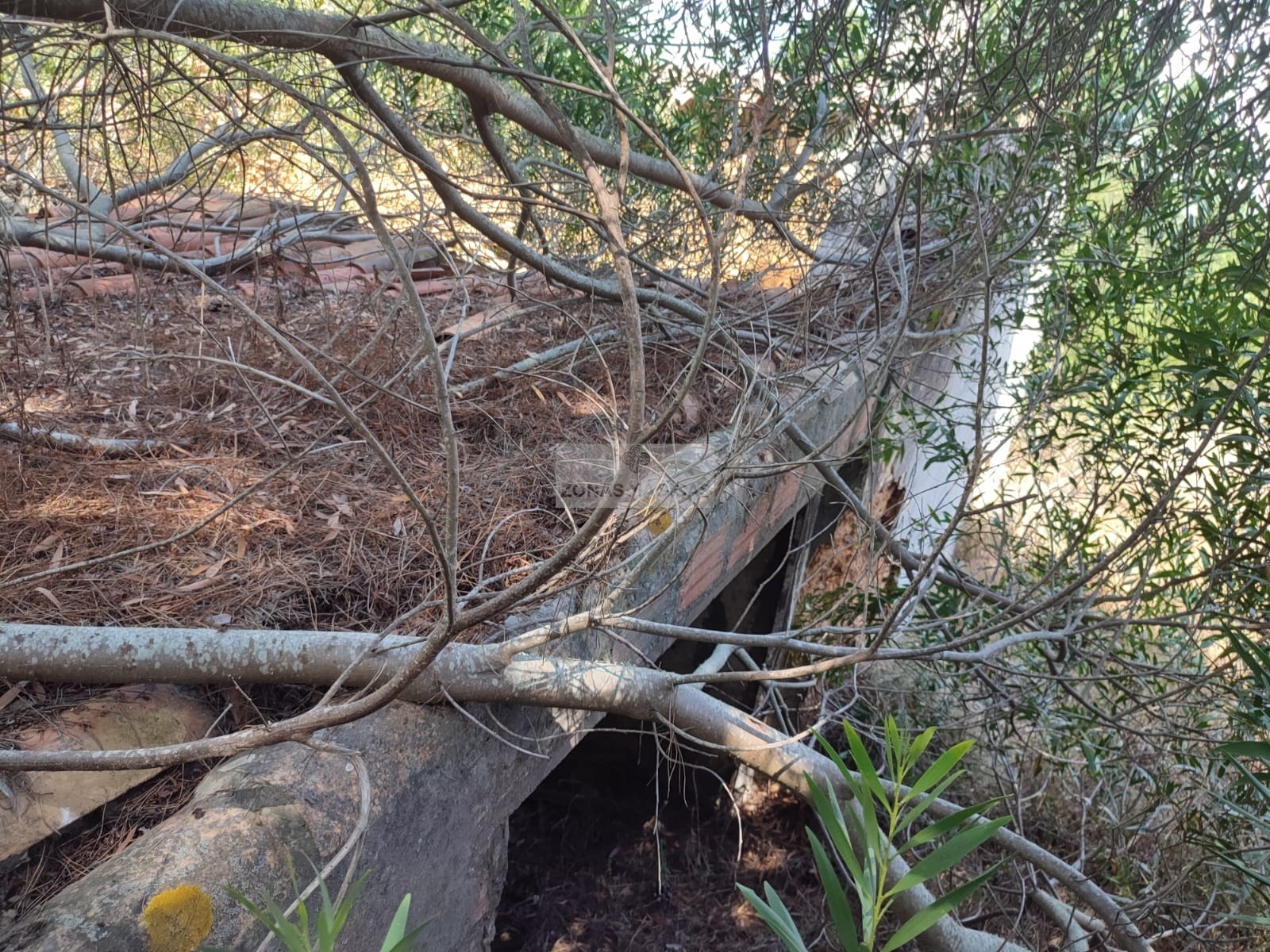 HouseFor Sale, Aljezur, Faro, 8670-417