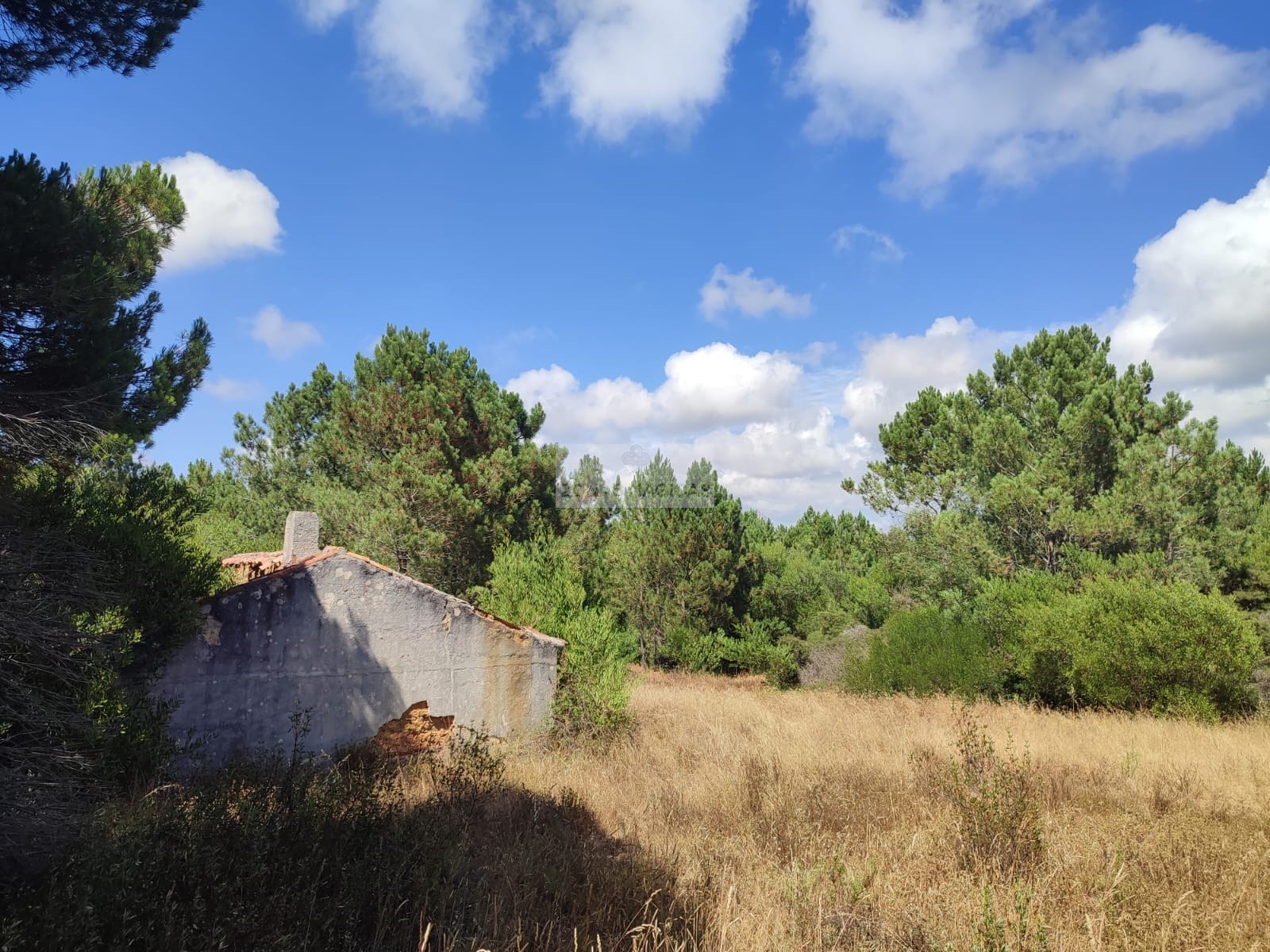 HouseFor Sale, Aljezur, Faro, 8670-417