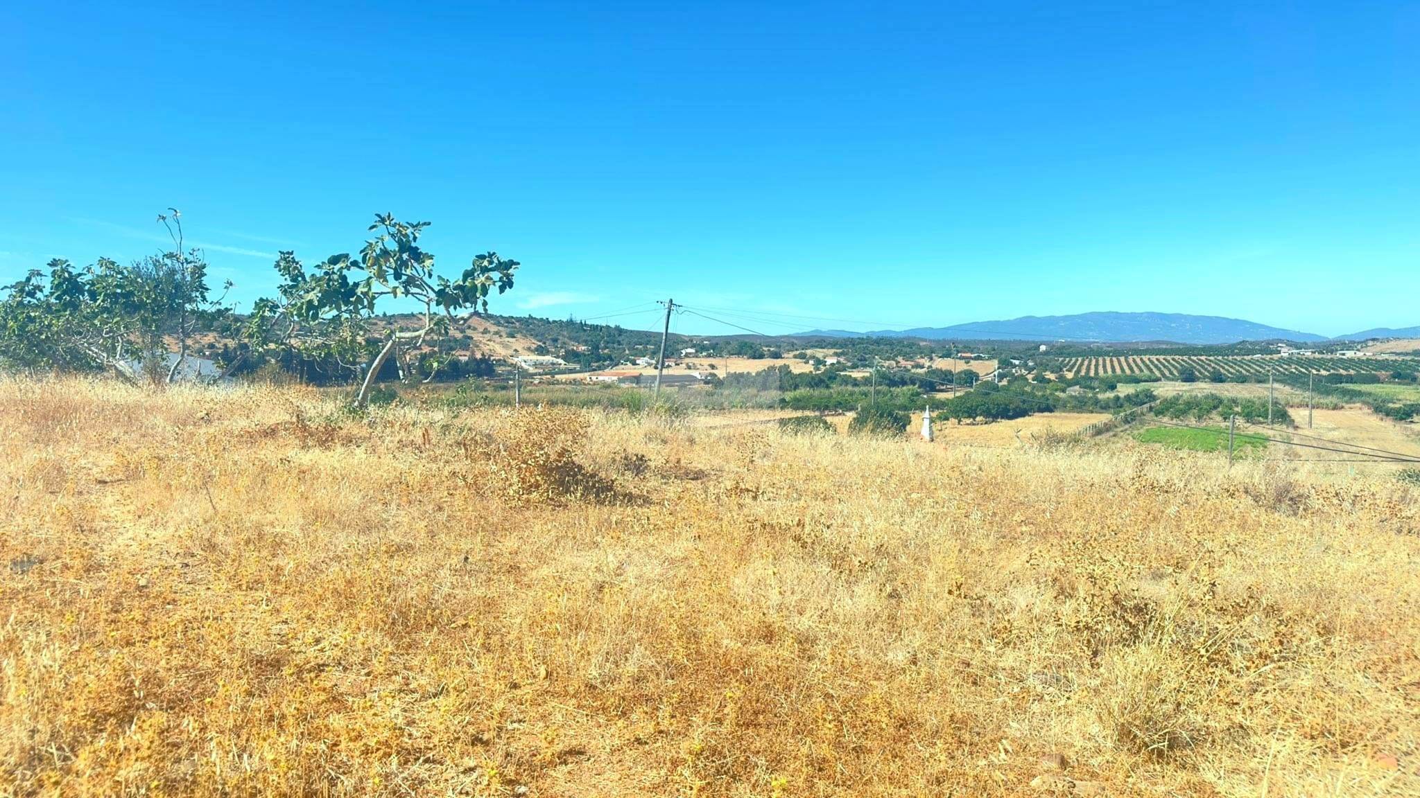 Land, For Sale