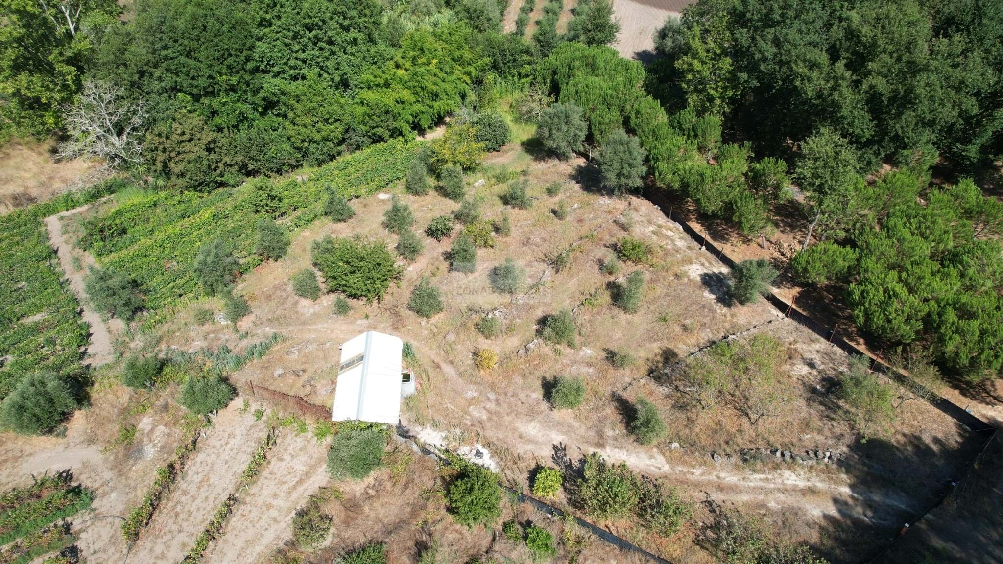 Land, For Sale