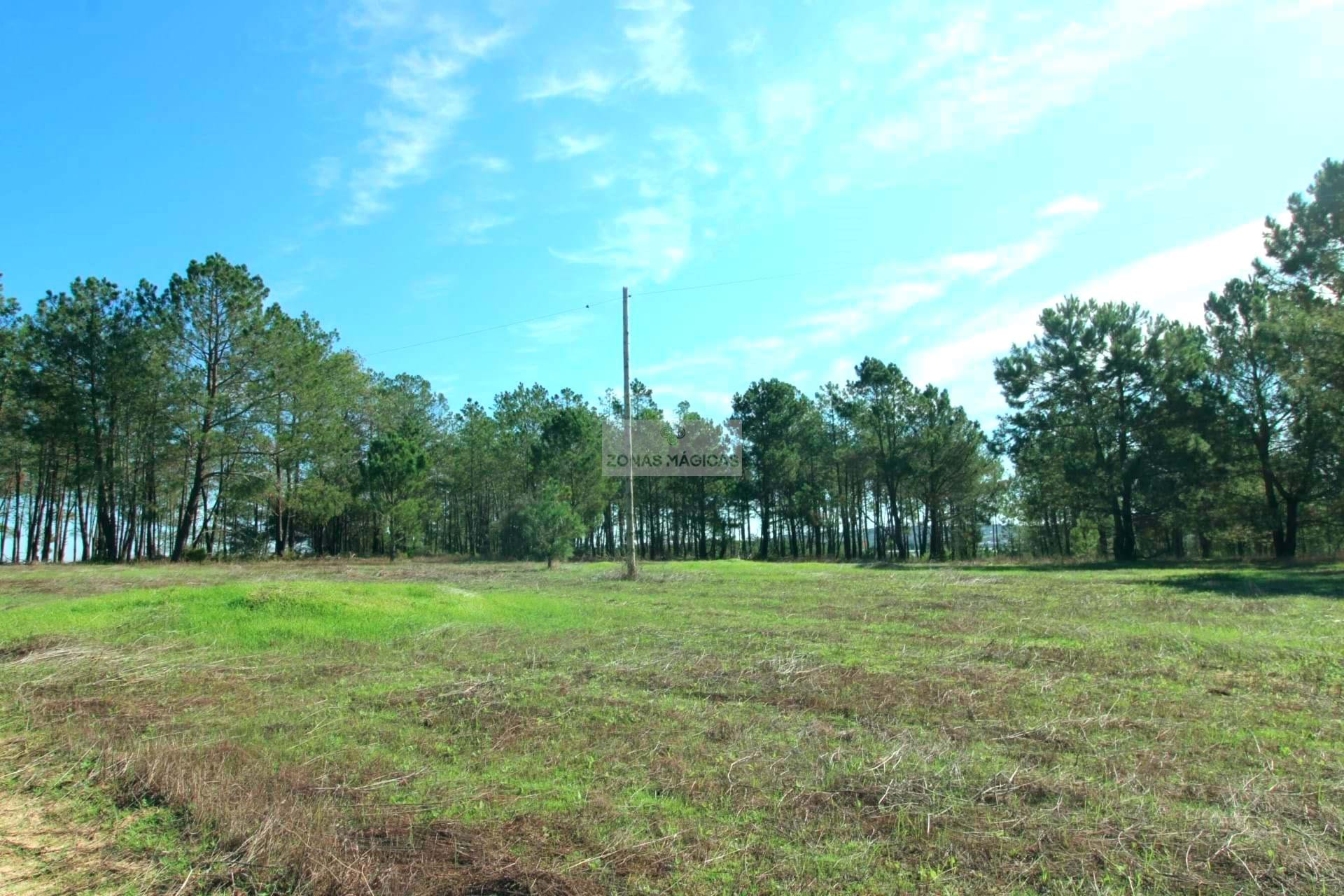 14 Bed, 9 Bath, HouseFor Sale, Lagos, Faro, 8600-360