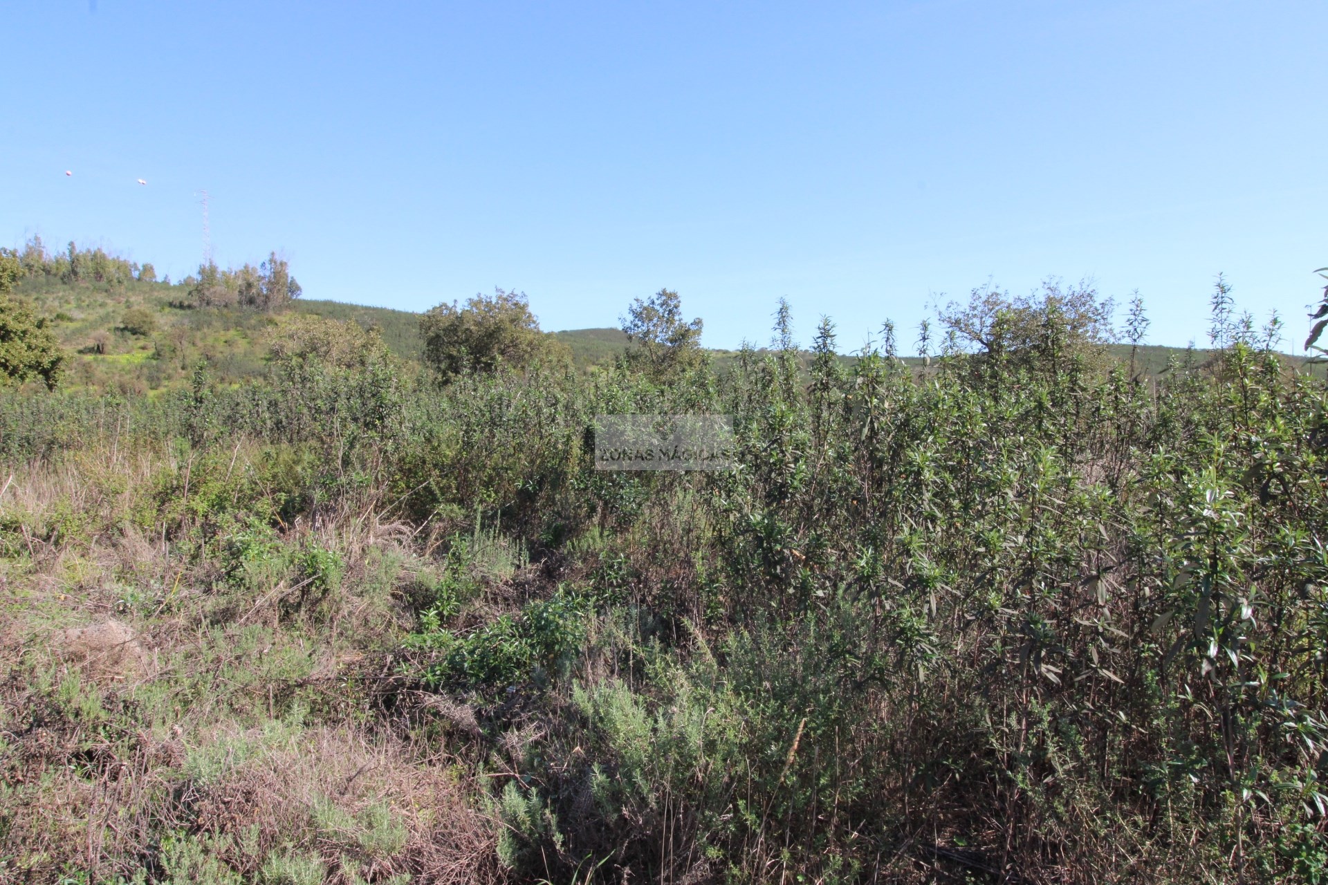 Land, For Sale