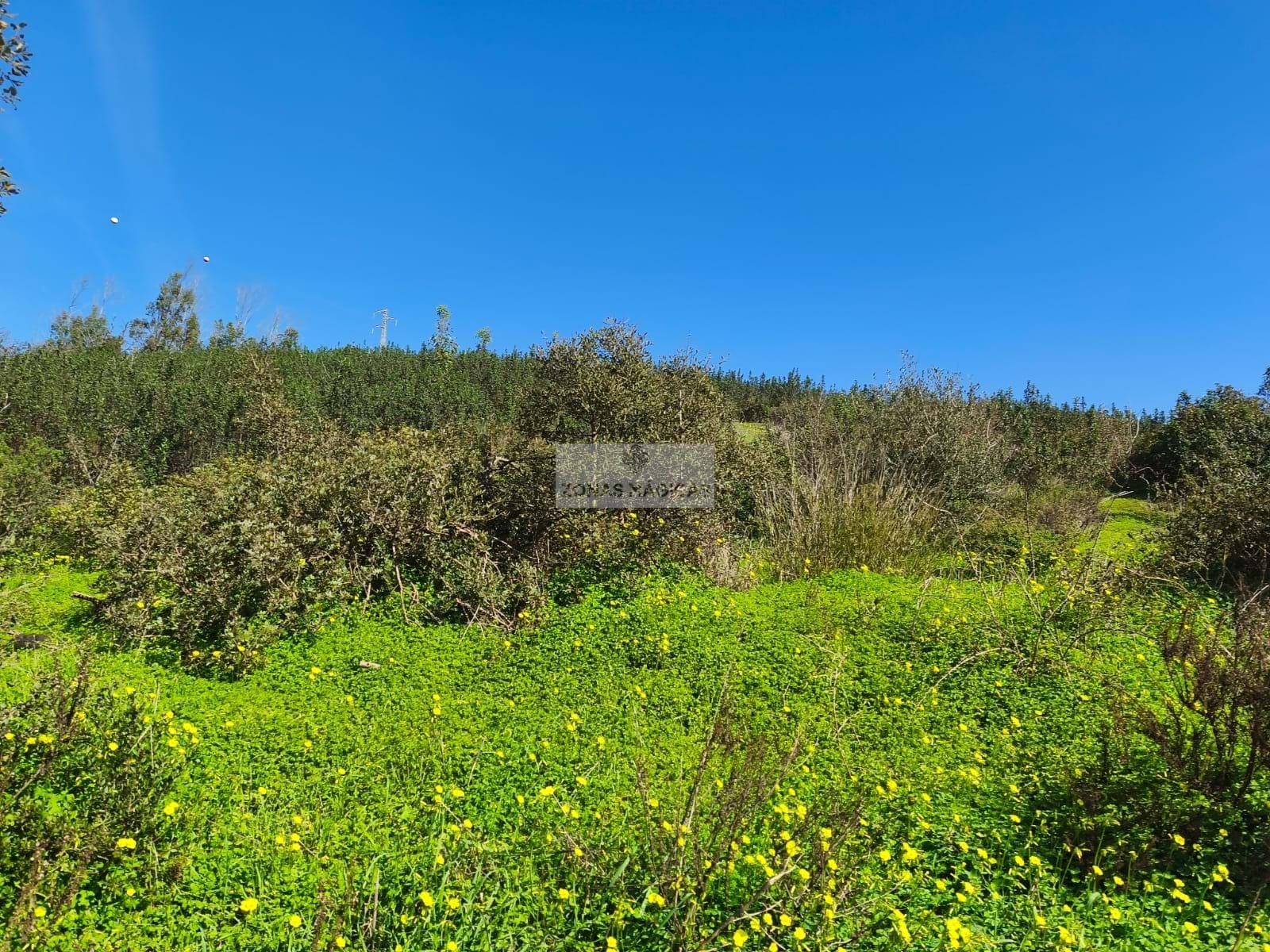 Land, For Sale