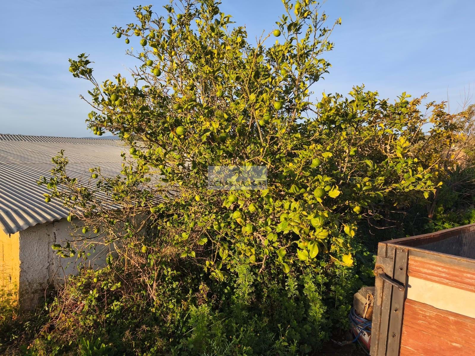 3 Bed, HouseFor Sale, Lagos, Faro, 8600-250