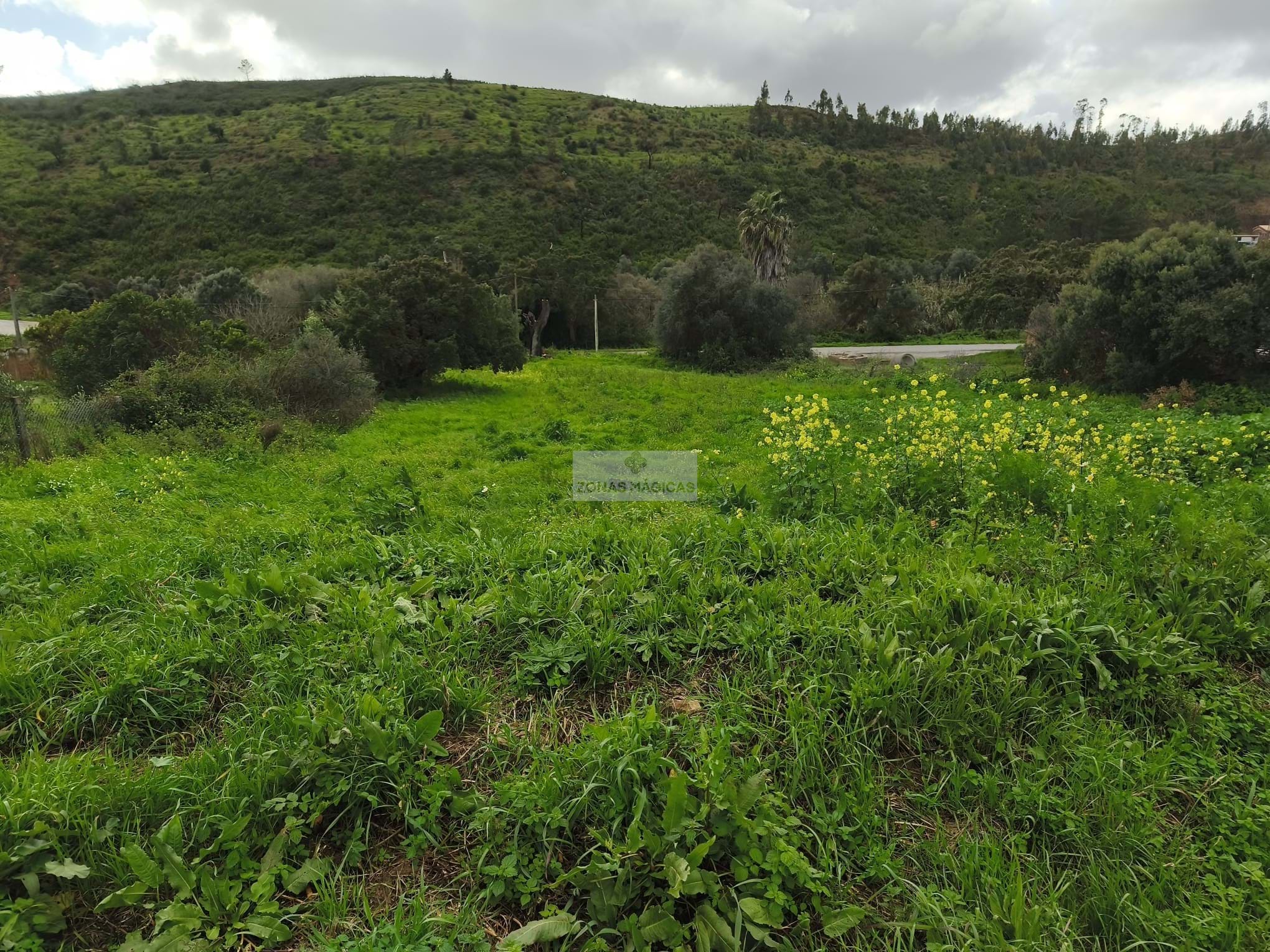 4 Bed, 1 Bath, HouseFor Sale, Monchique, Faro, 8550-128