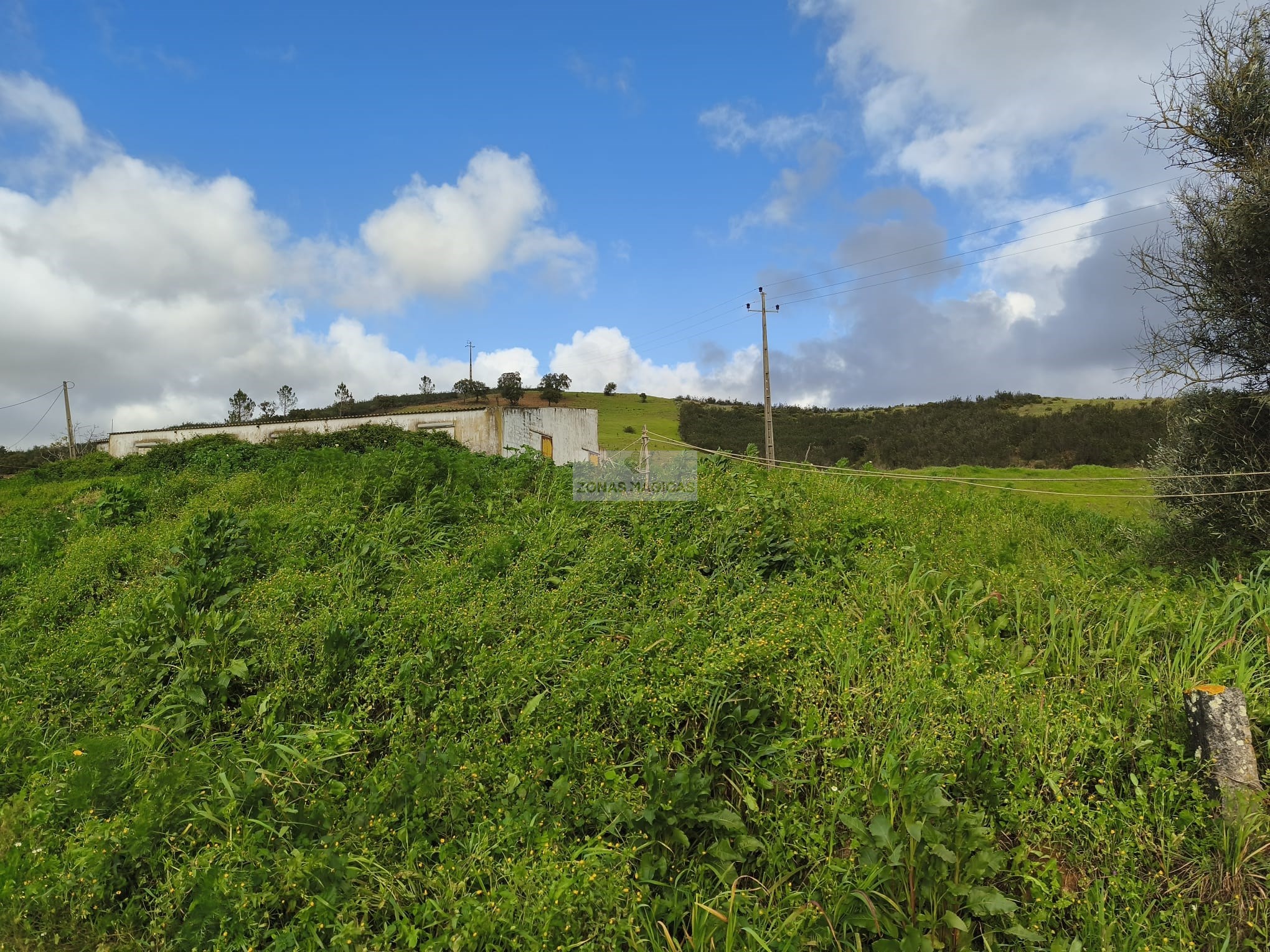 4 Bed, 1 Bath, HouseFor Sale, Monchique, Faro, 8550-128