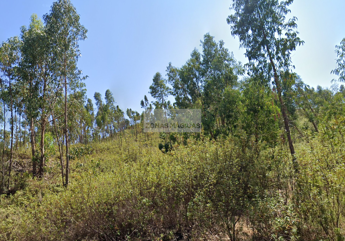 3 Bed, 1 Bath, HouseFor Sale, Monchique, Faro, 8550-145