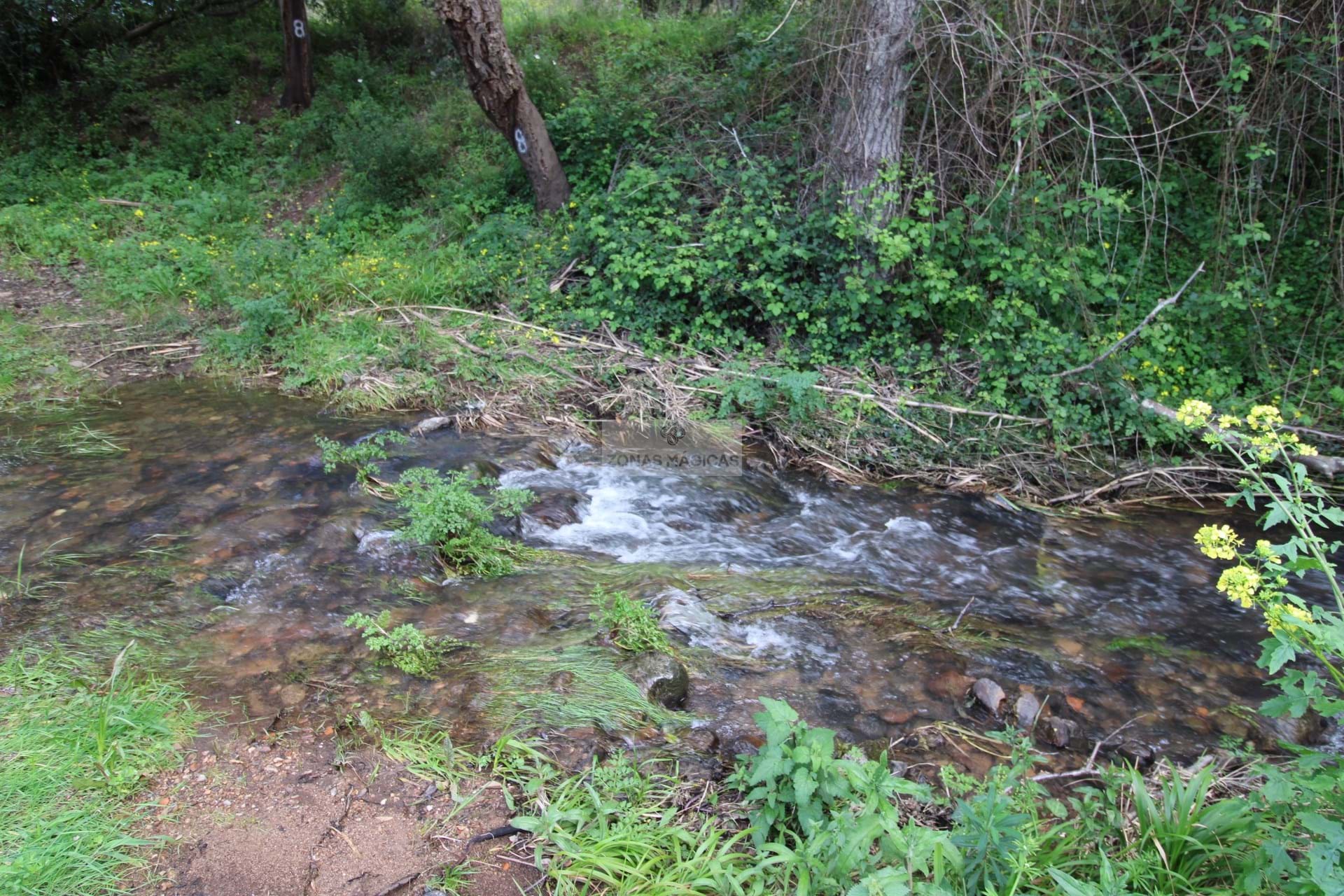 3 Bed, 1 Bath, HouseFor Sale, Monchique, Faro, 8550-145