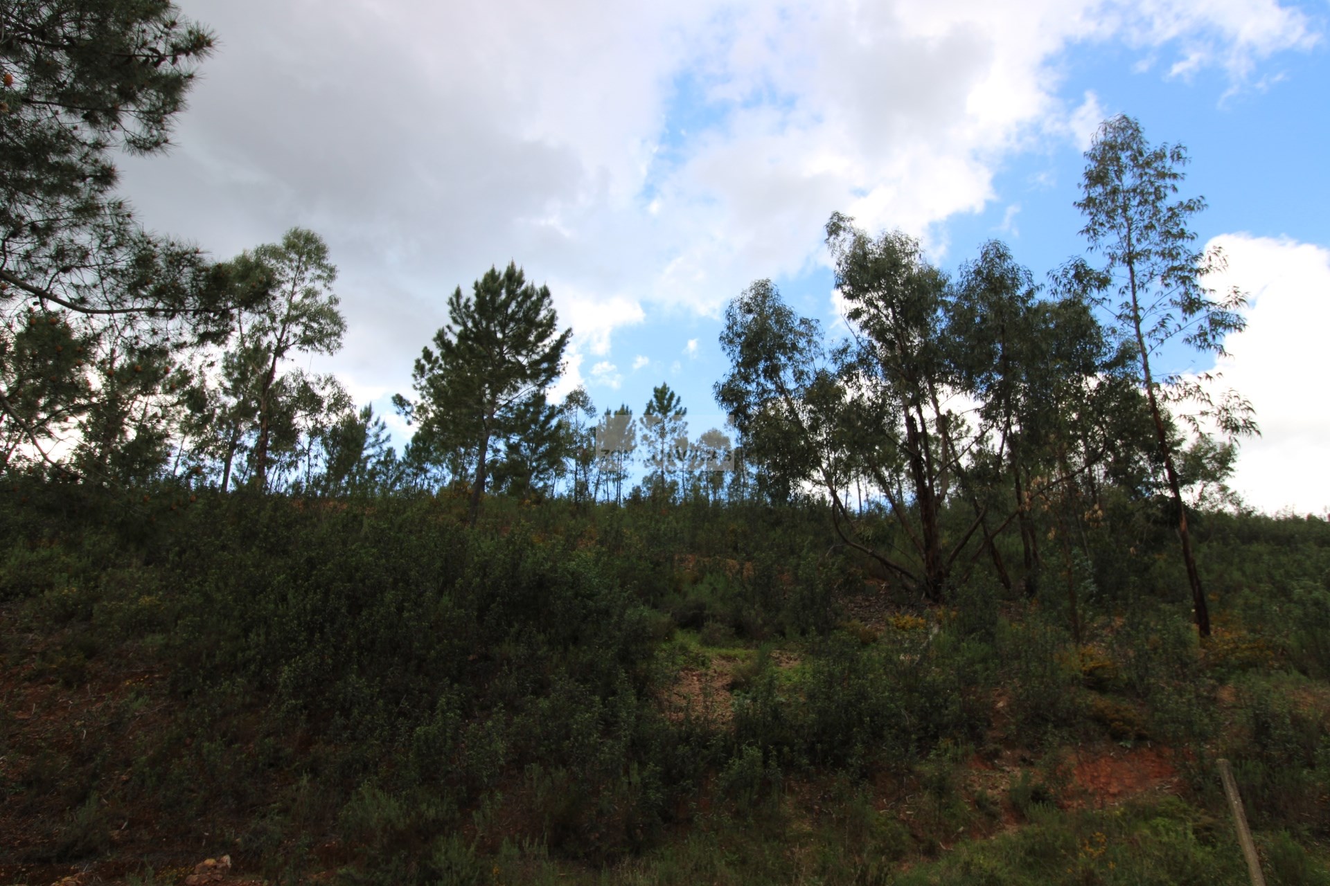 HouseFor Sale, Monchique, Faro, 8550-145