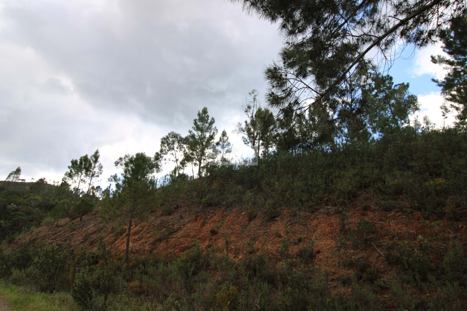 HouseFor Sale, Monchique, Faro, 8550-145