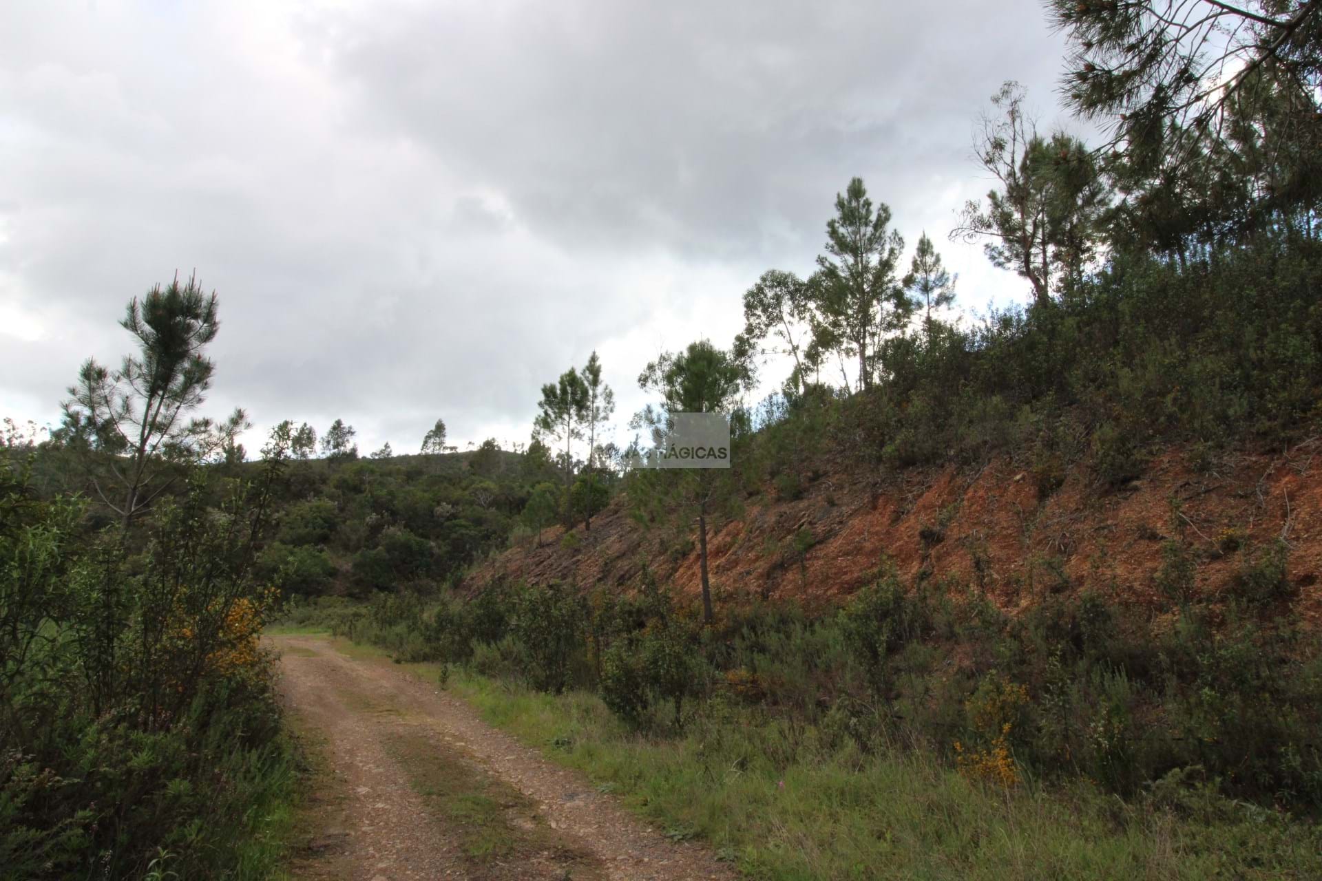 HouseFor Sale, Monchique, Faro, 8550-145